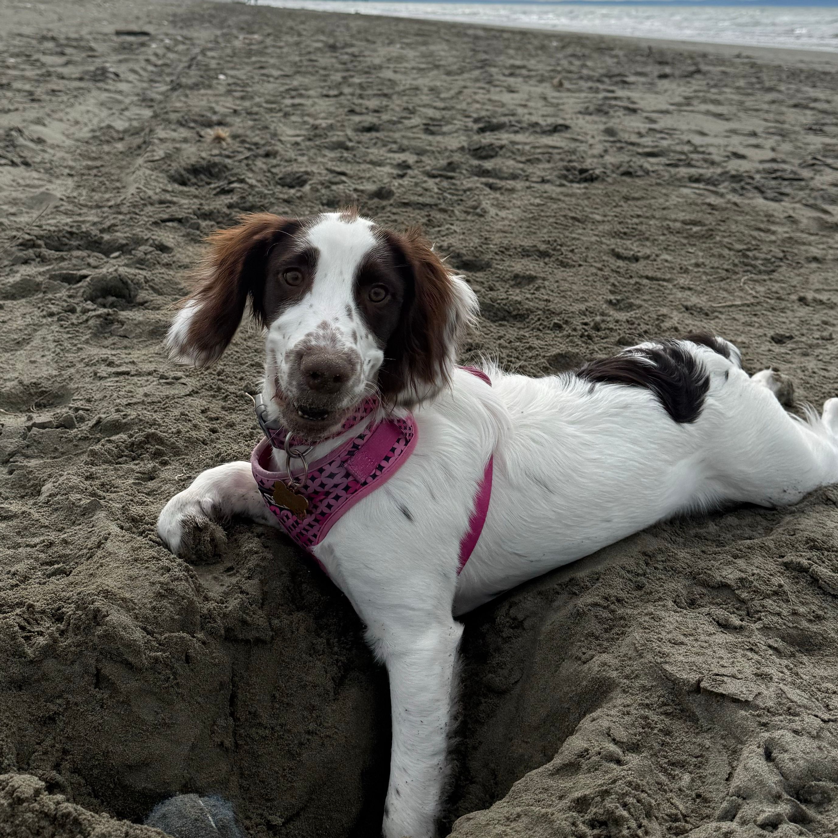 Molly