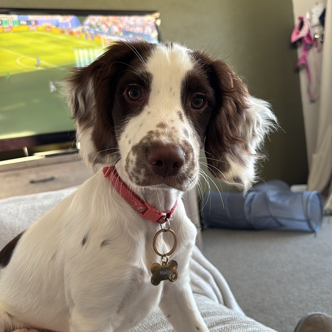 Molly