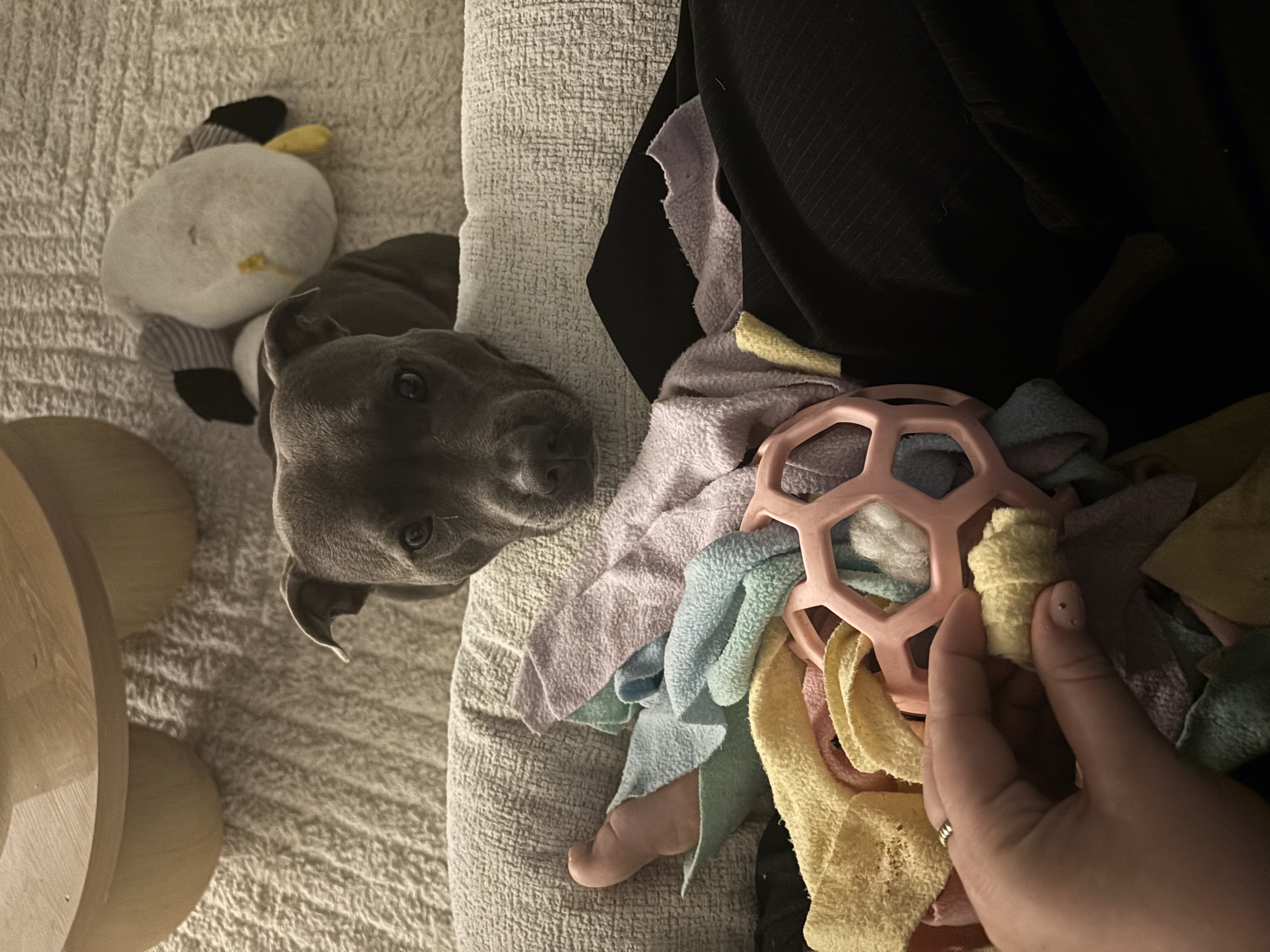 image-8