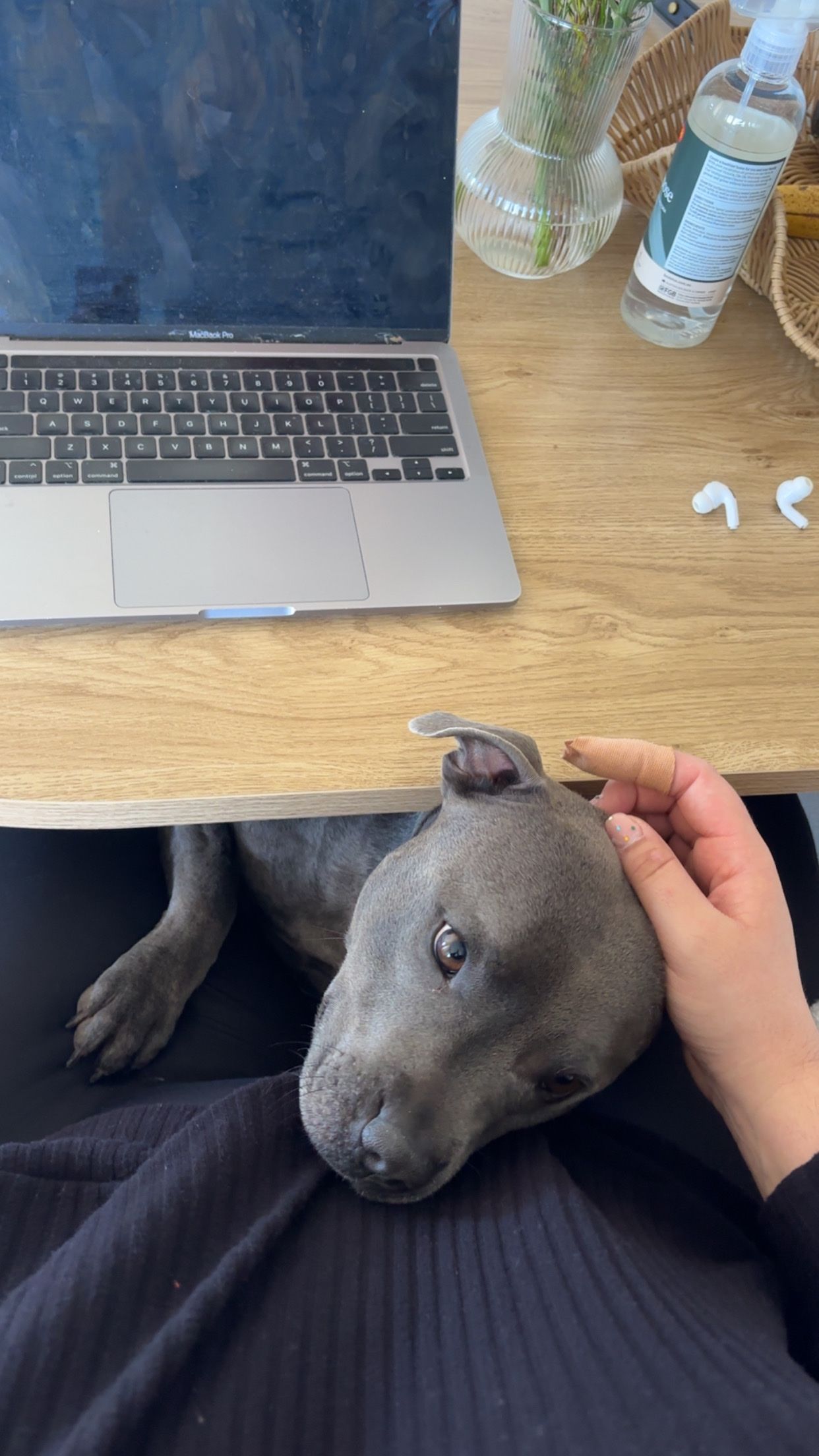 image-7
