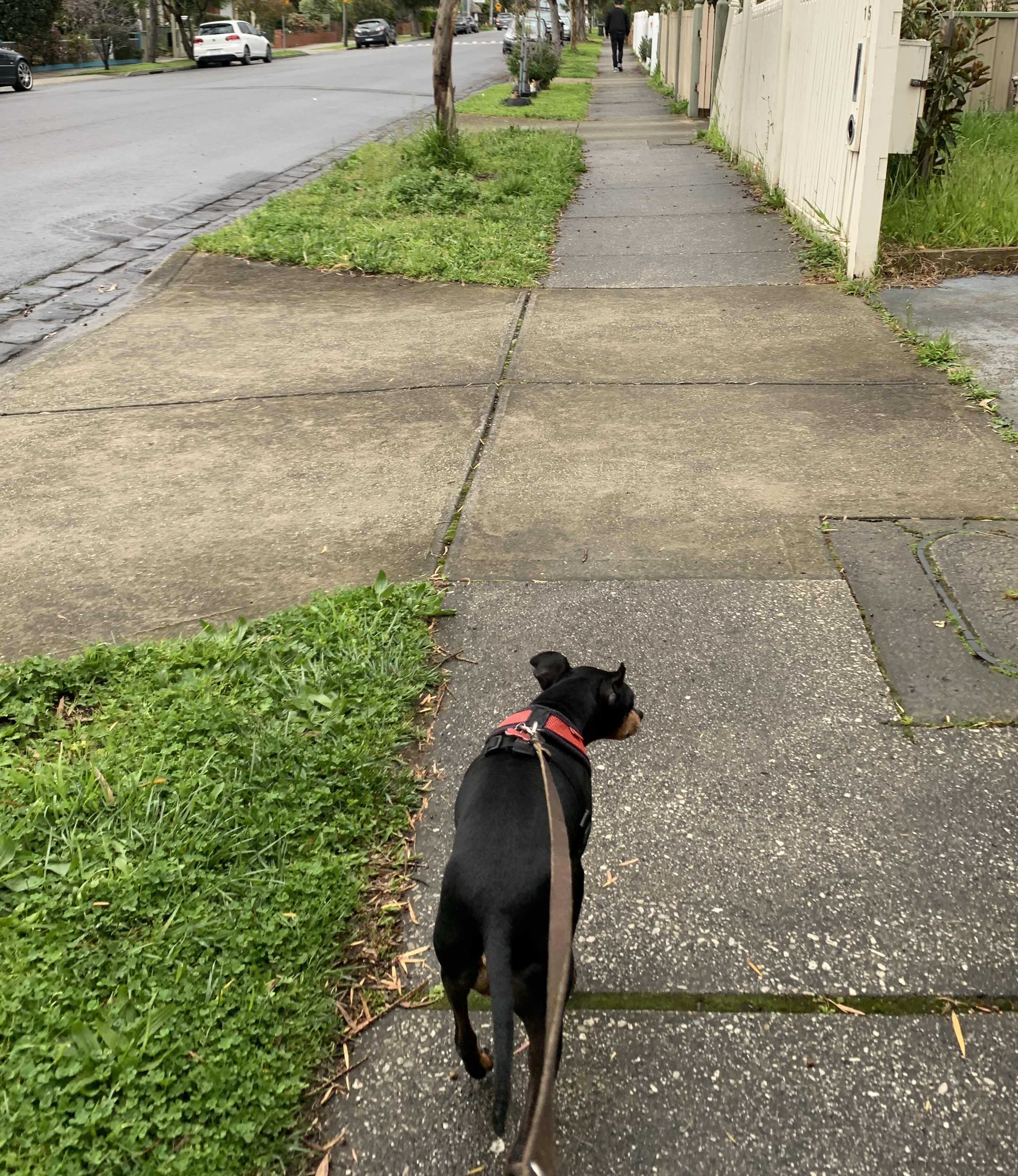image-13