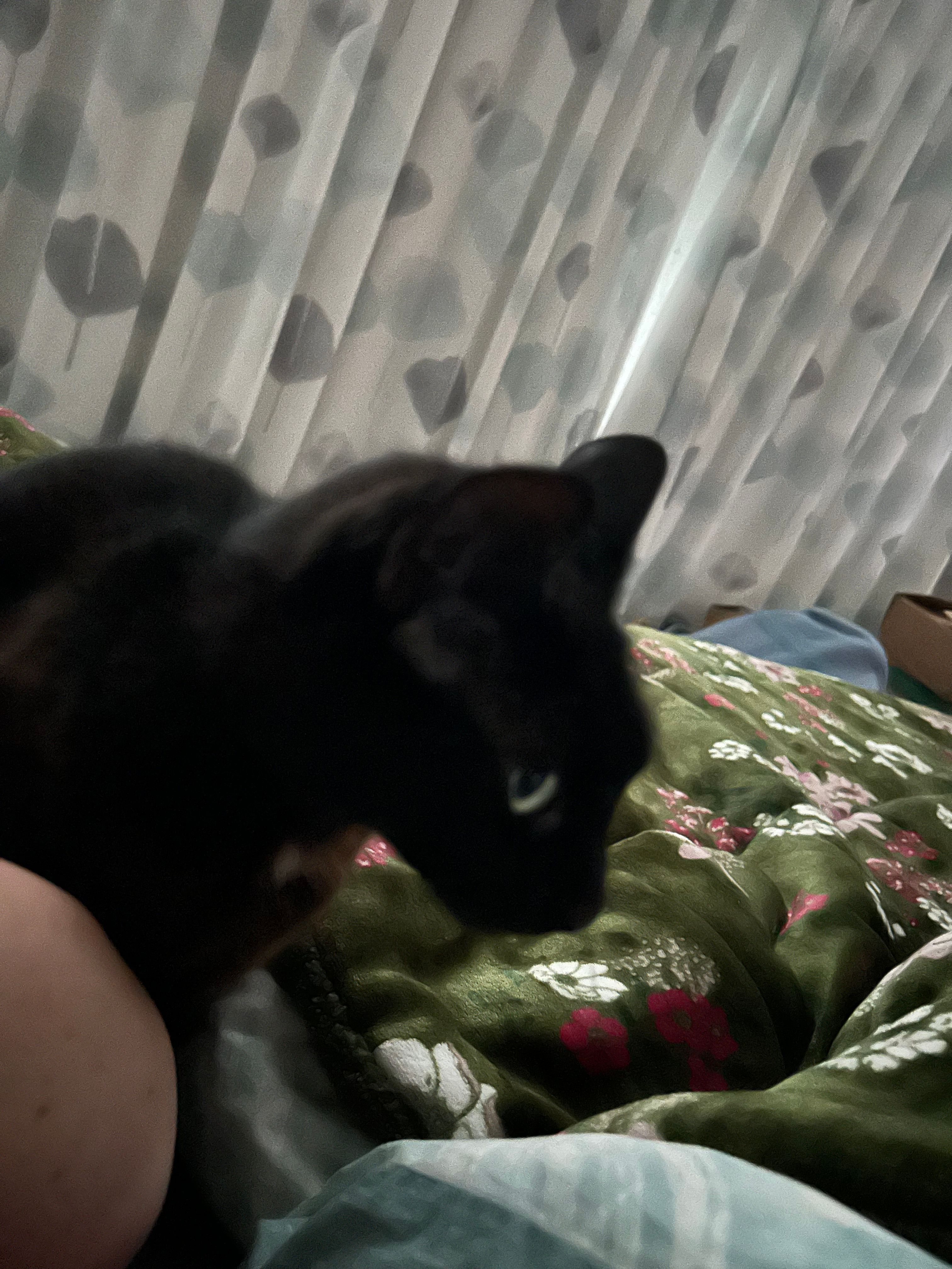 image-11