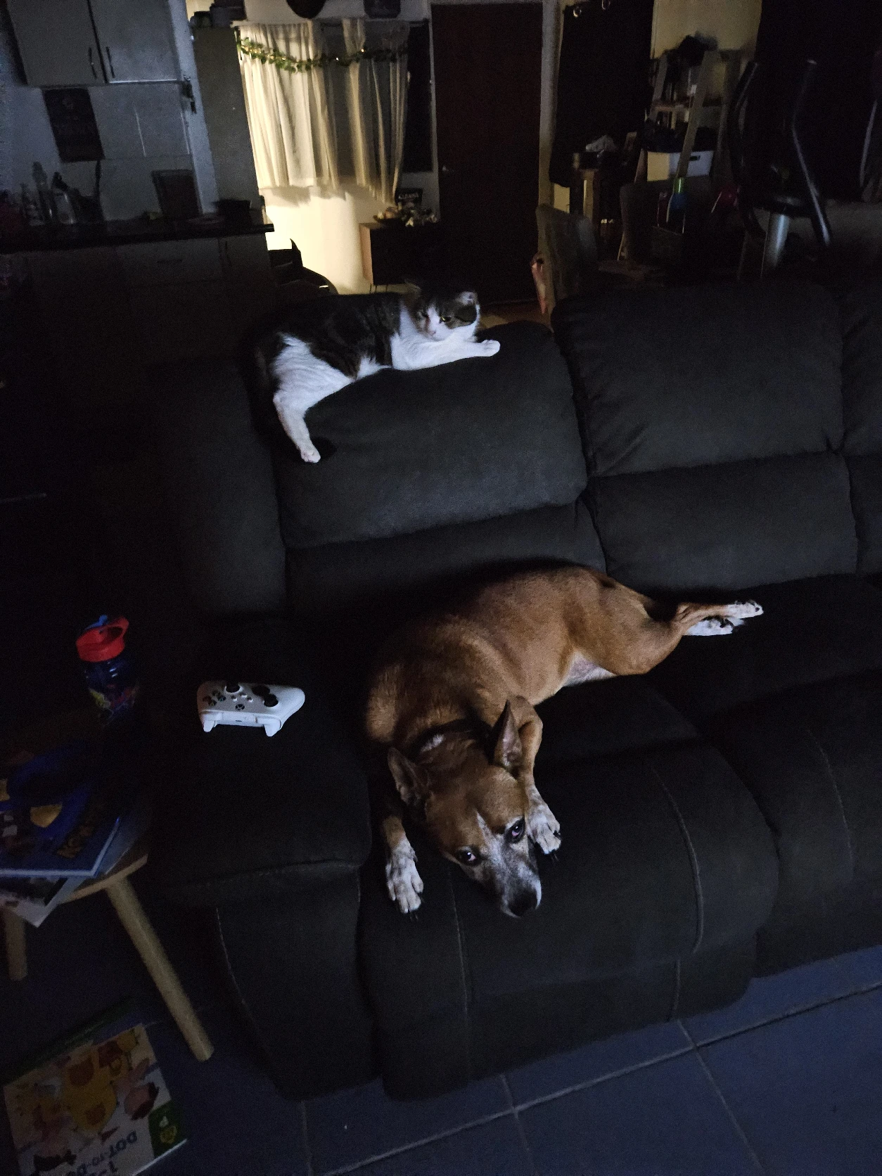 image-9