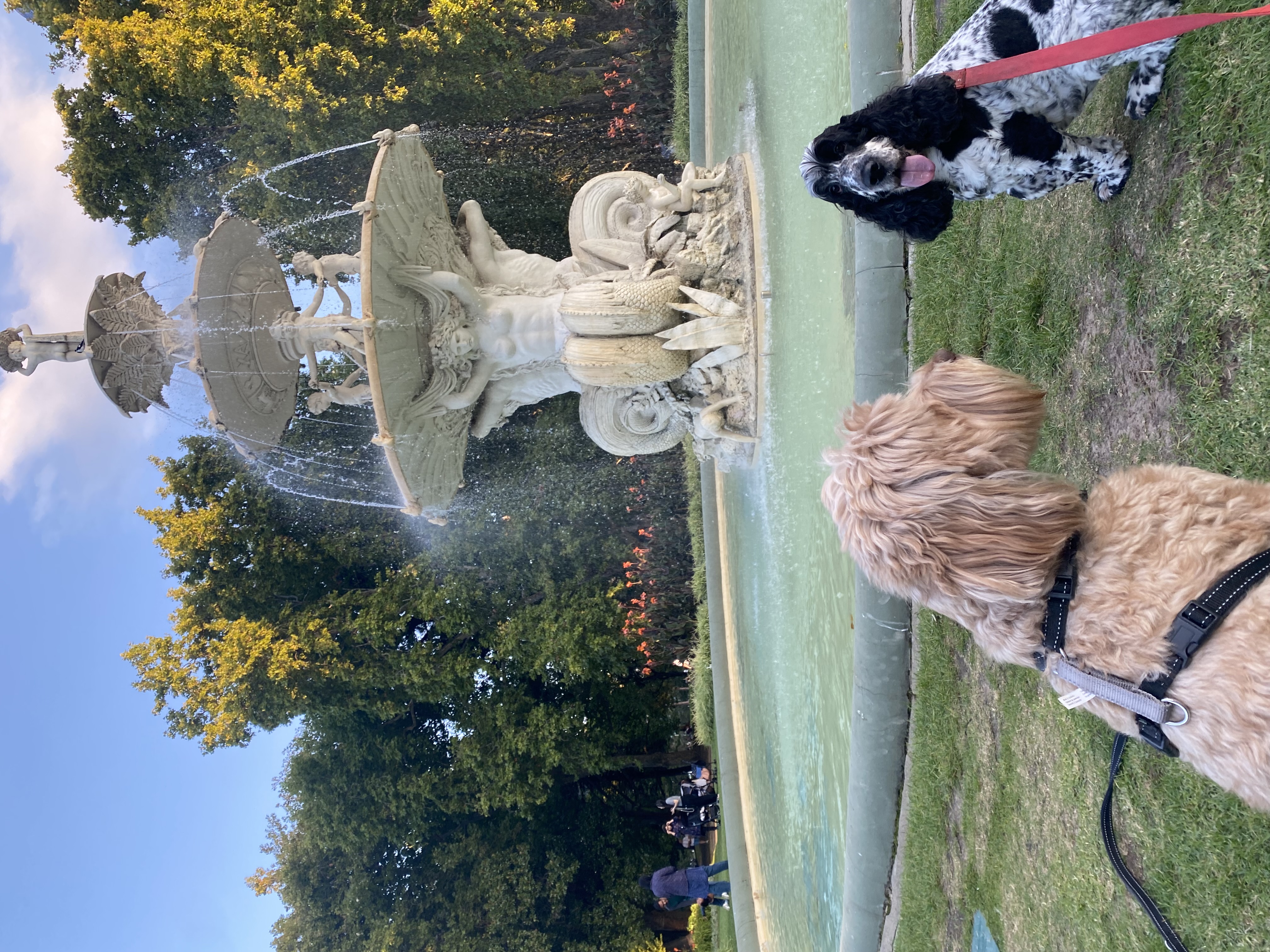 image-4