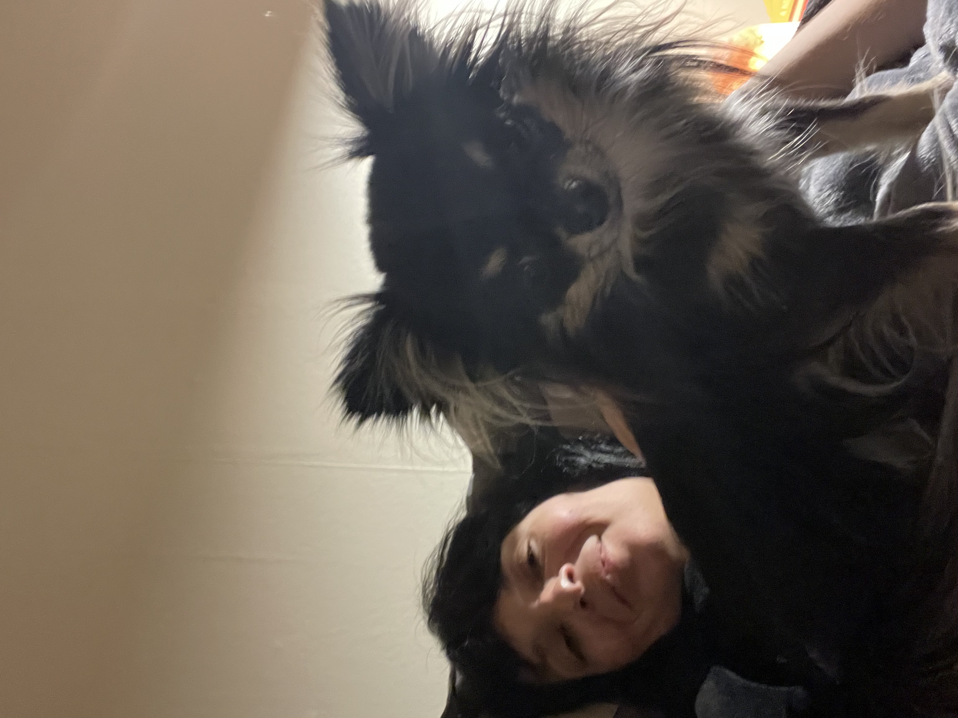 image-7