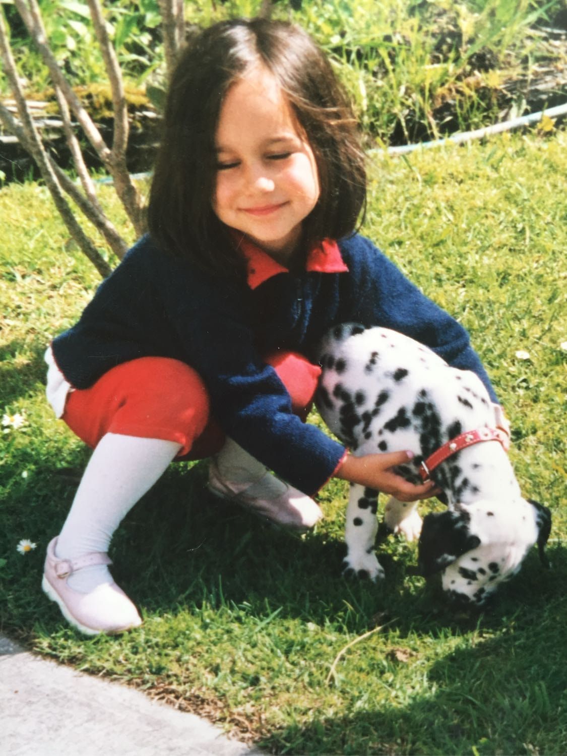 image-2