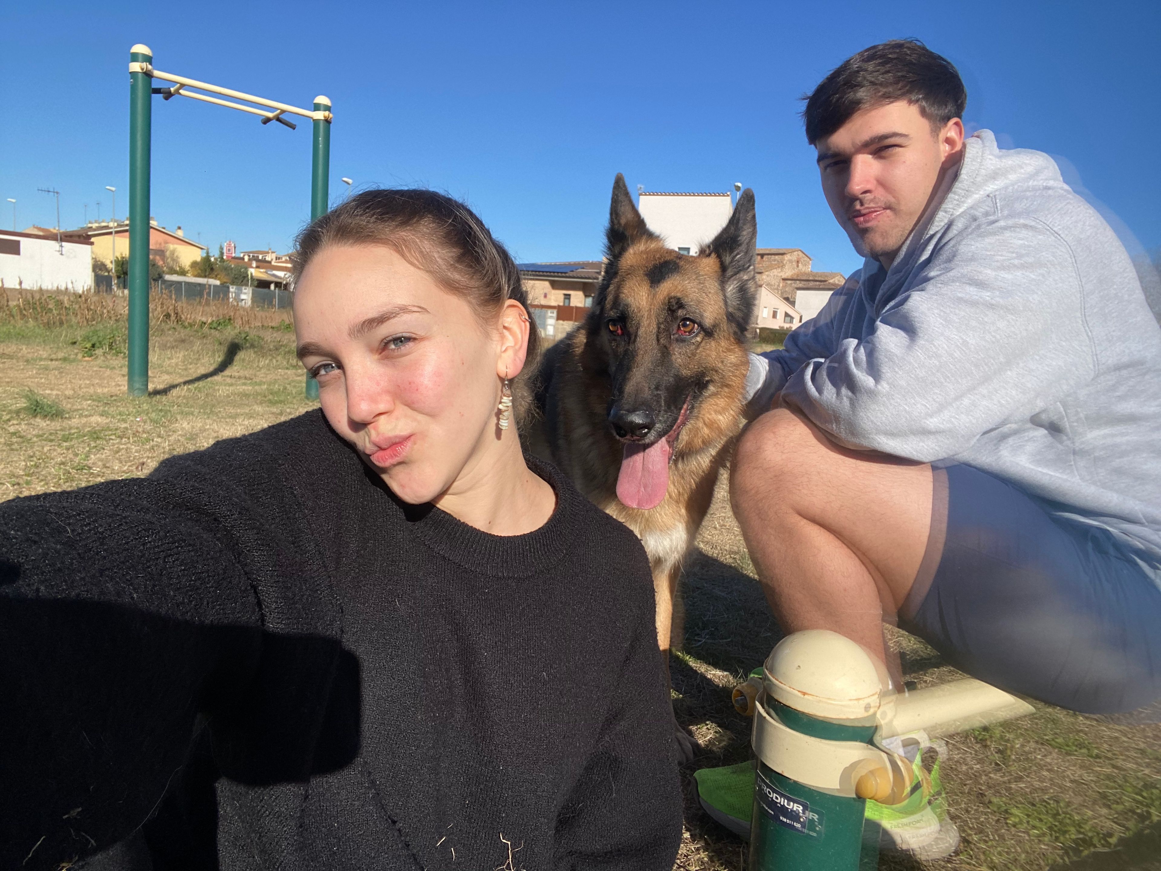 image-7