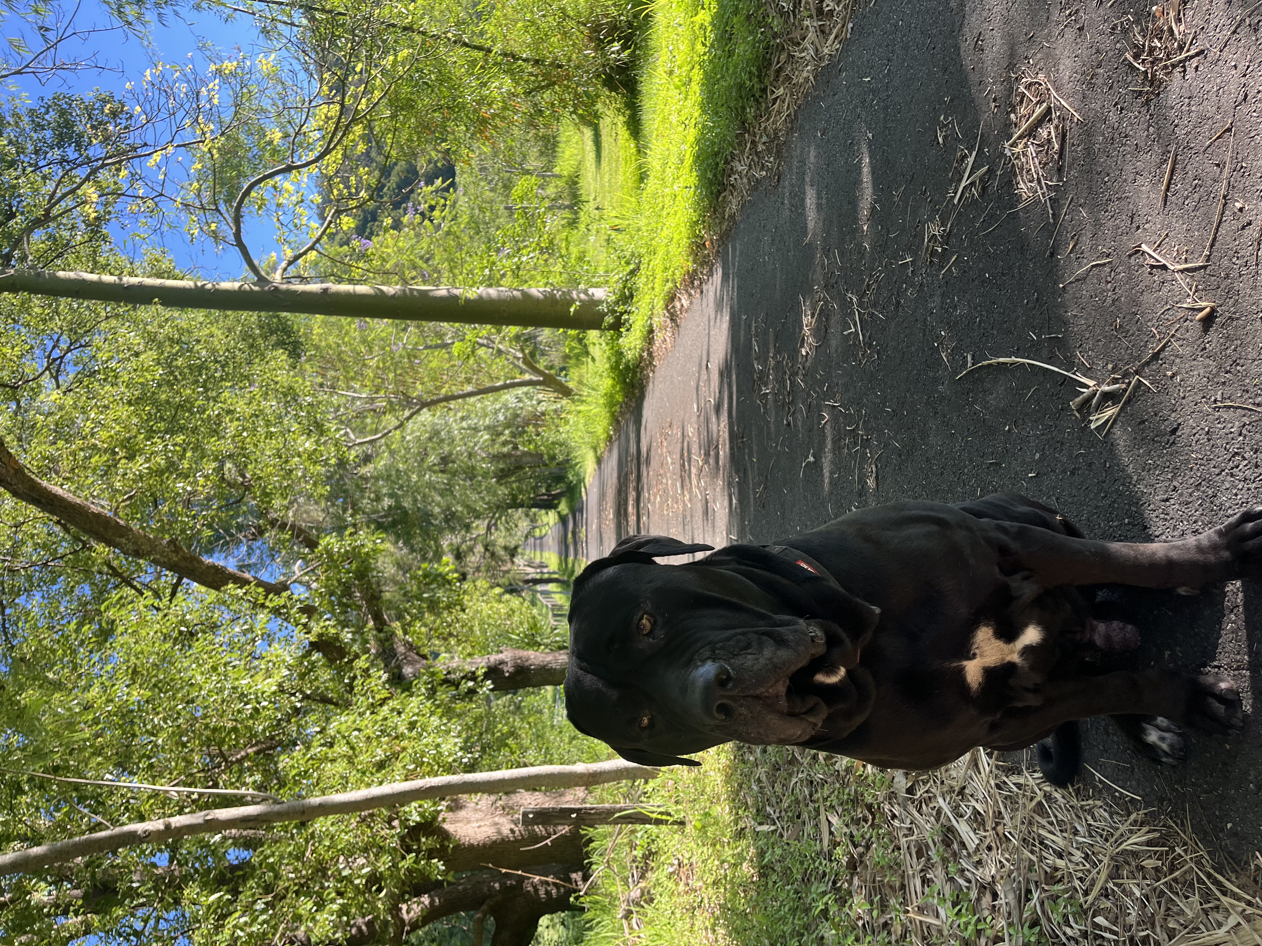 image-13