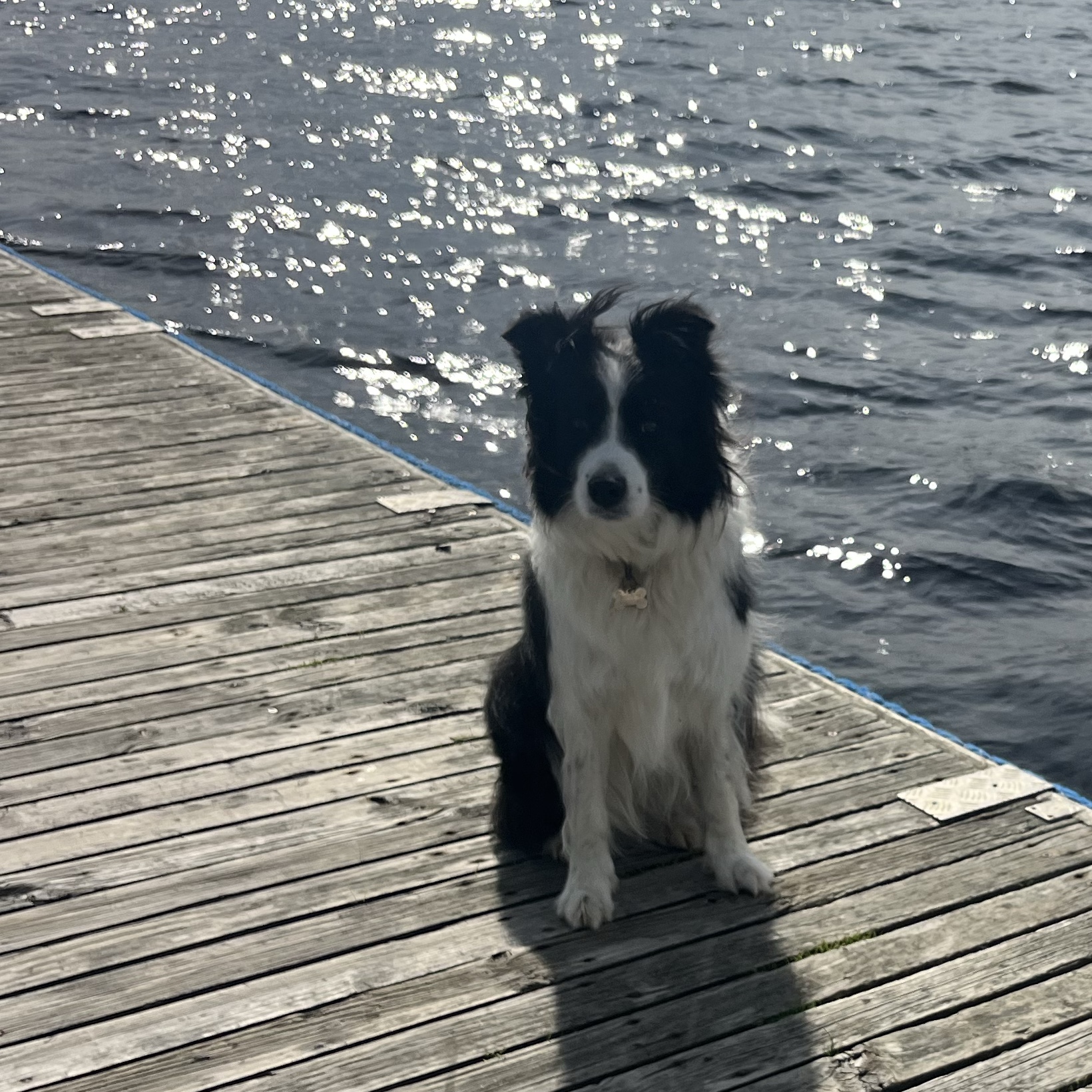 Harvey
