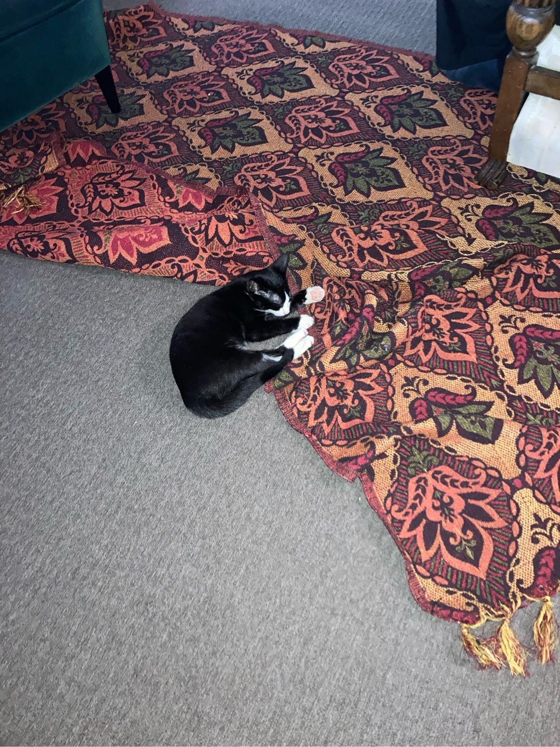 image-17
