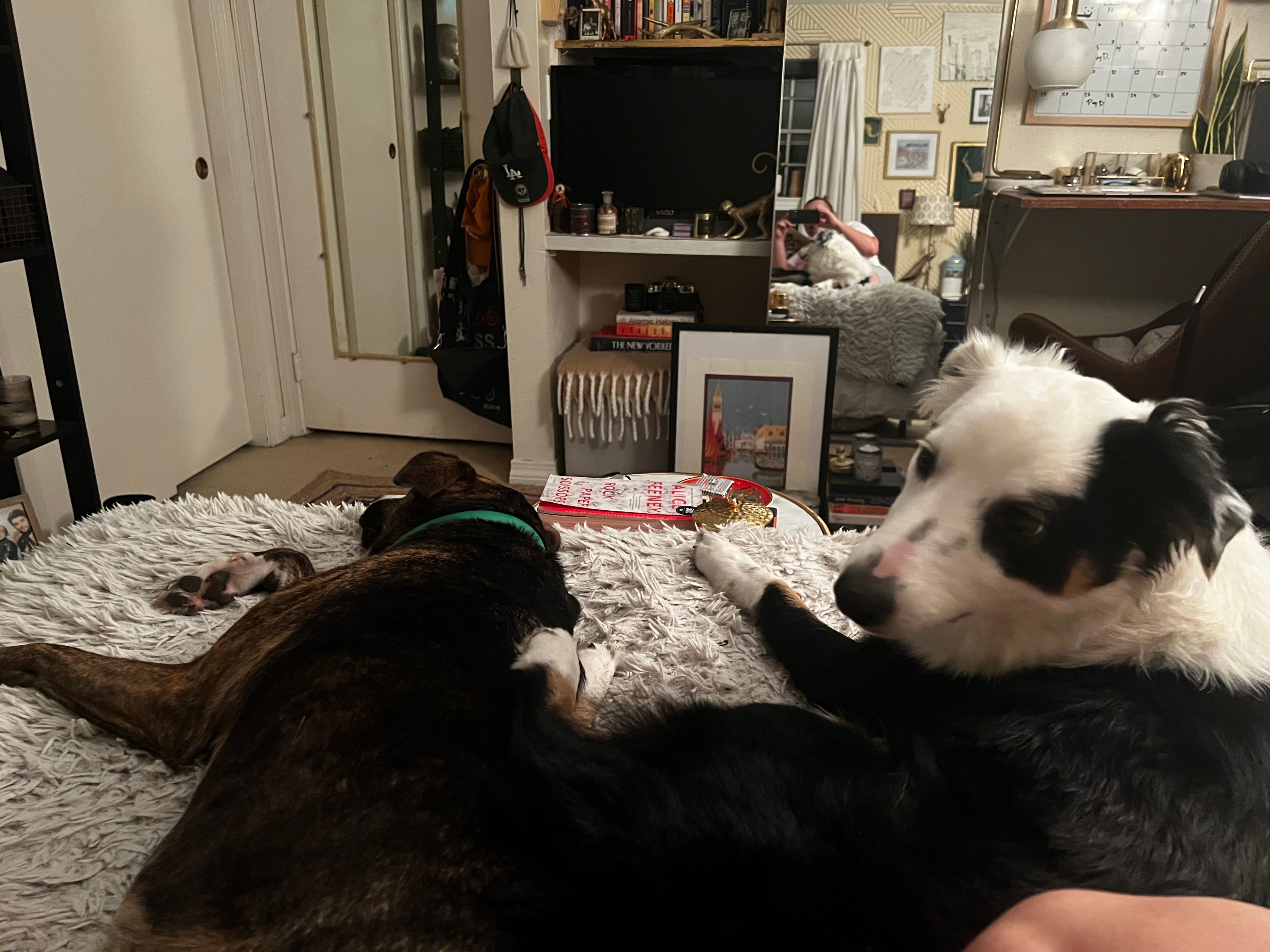 image-5