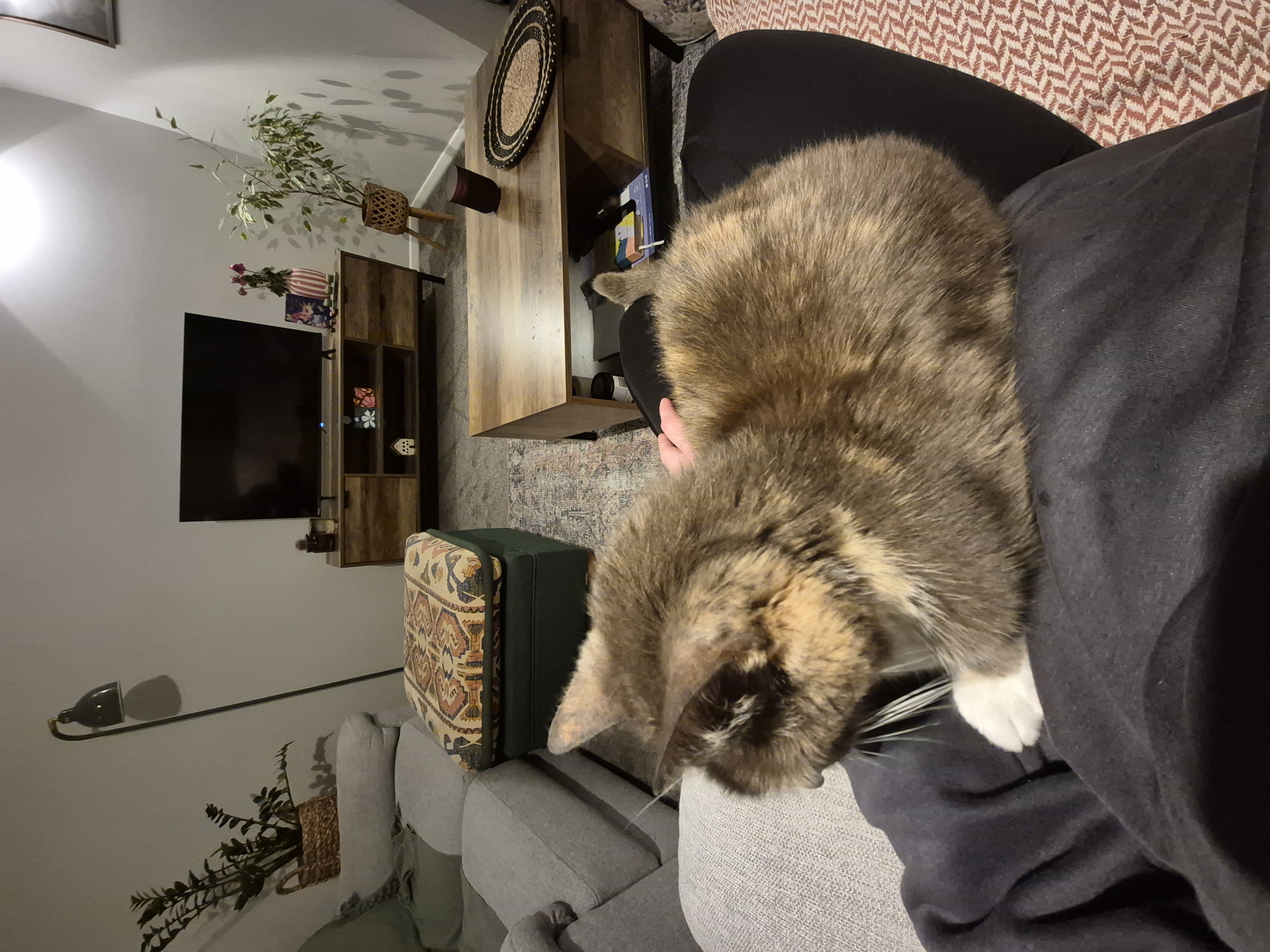 image-6