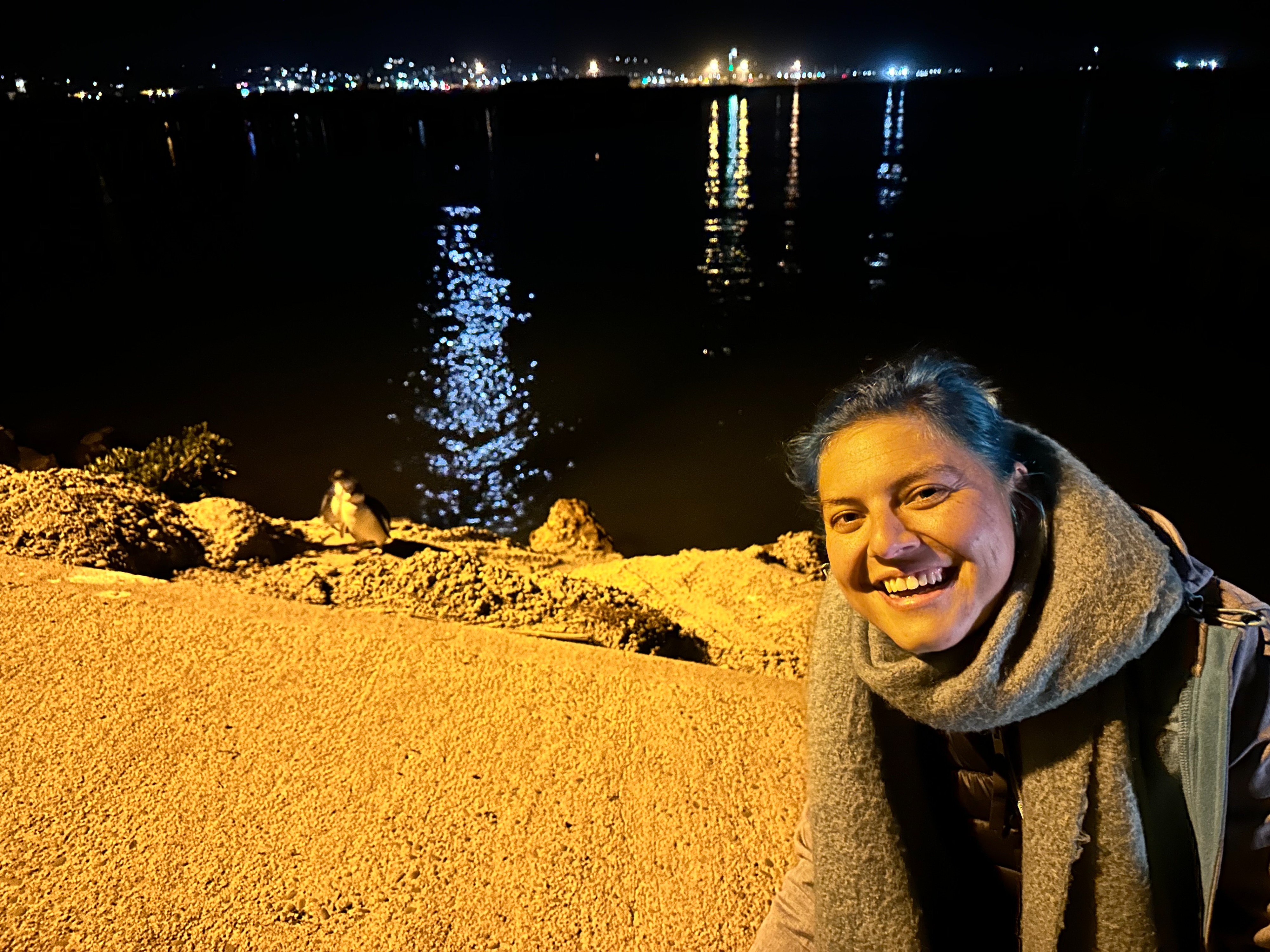 image-6