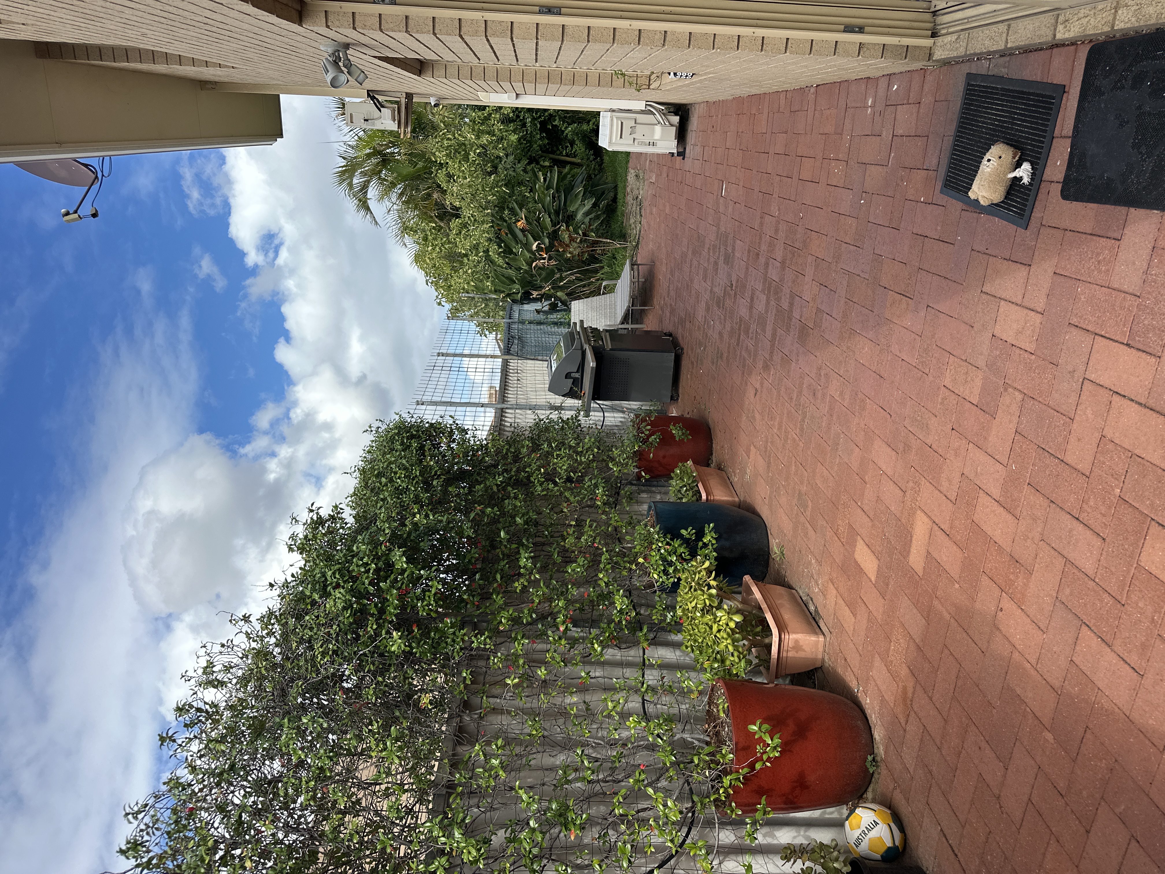 image-15