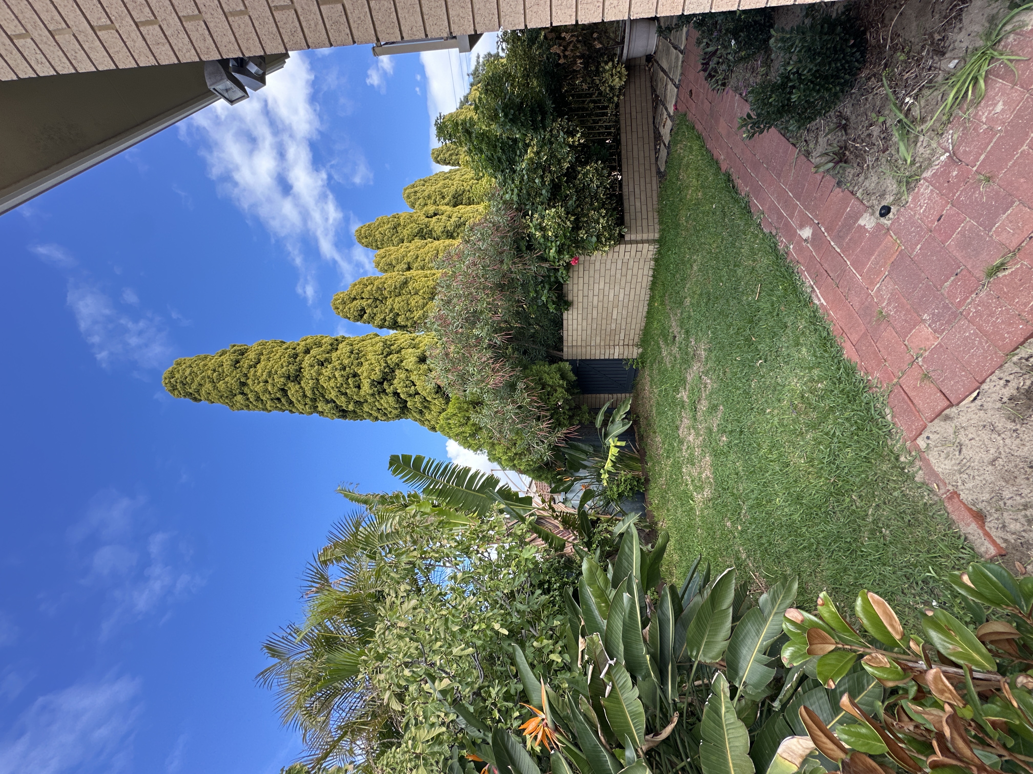 image-14