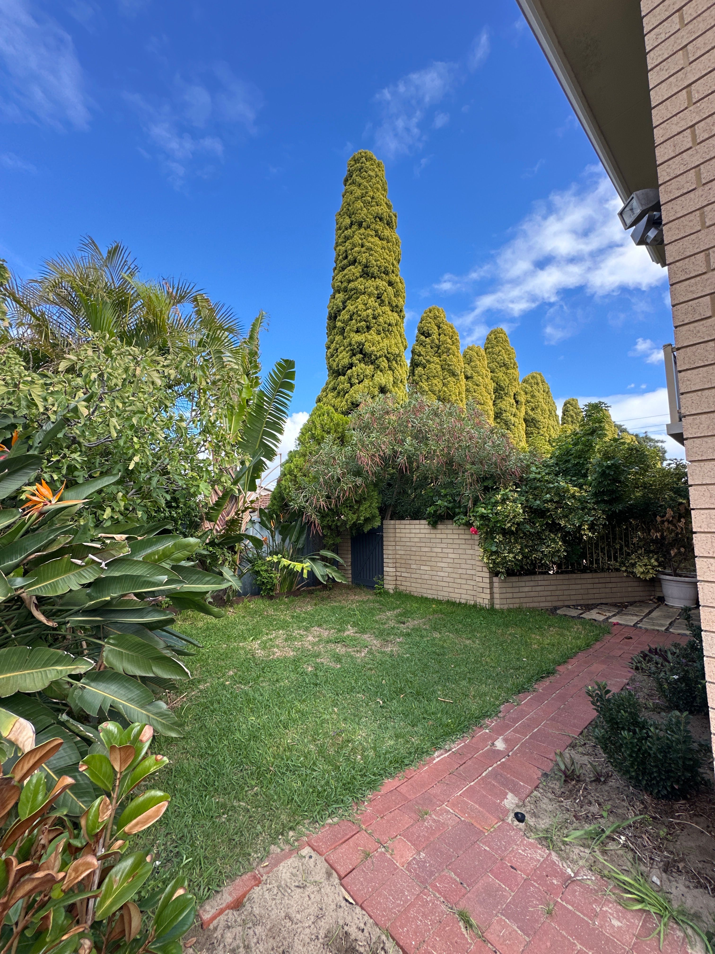 image-14