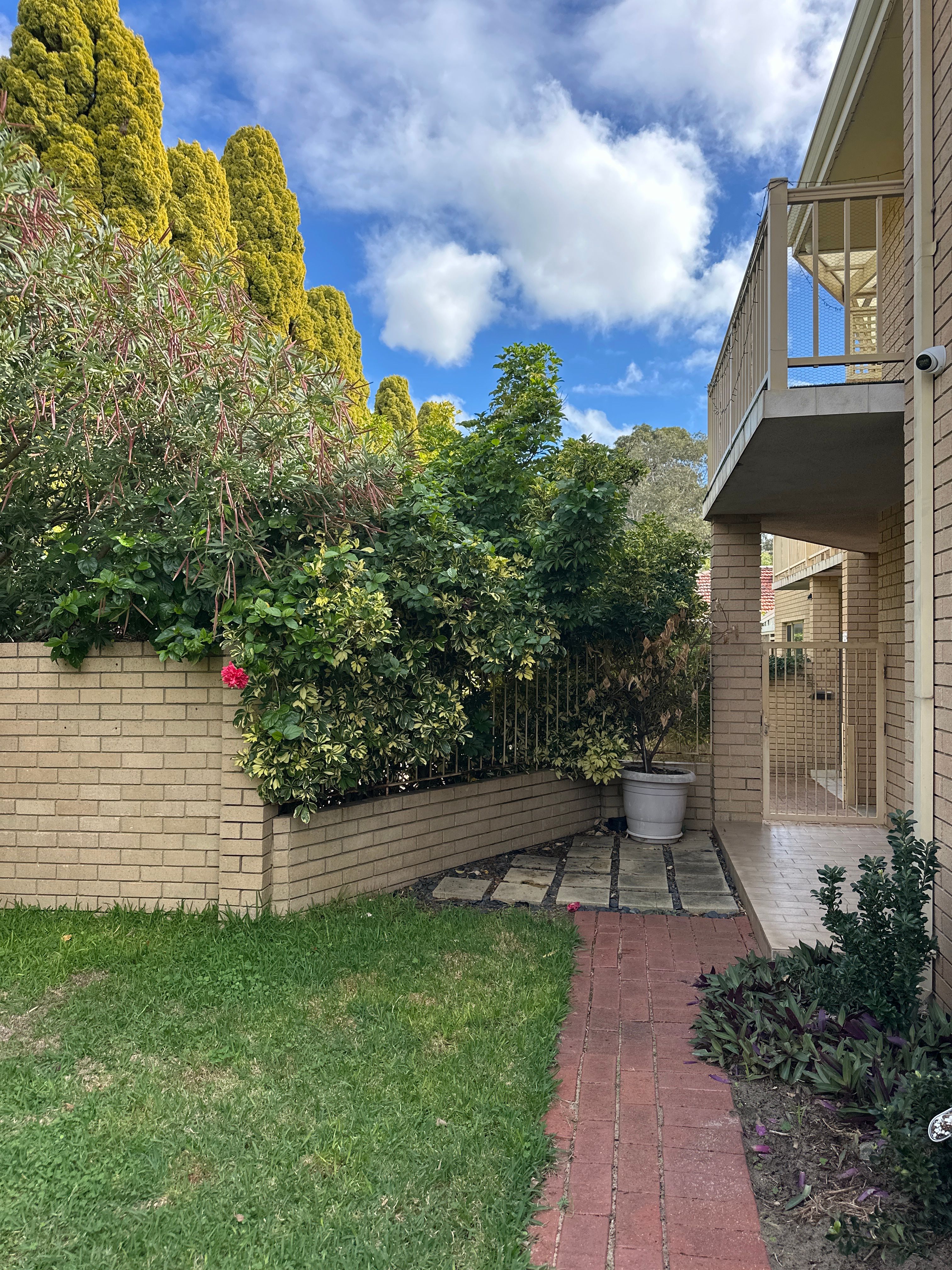 image-19