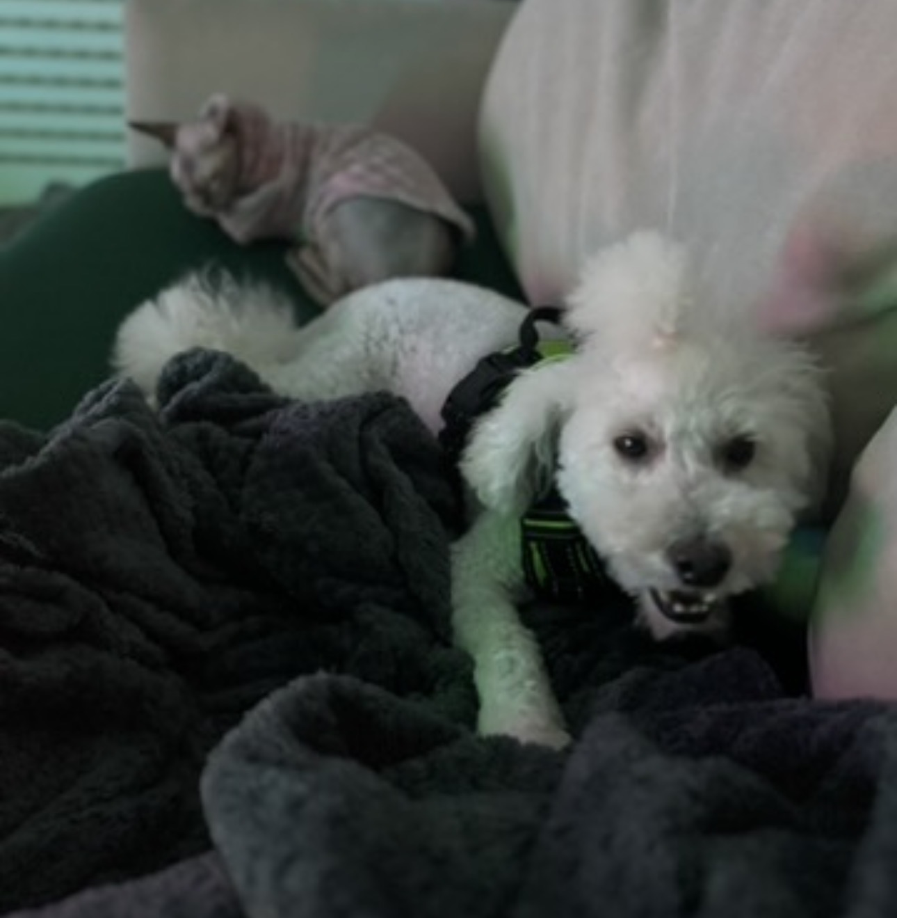 image-3
