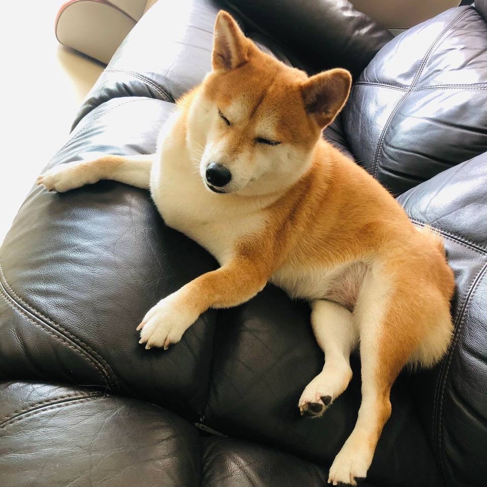 Mika