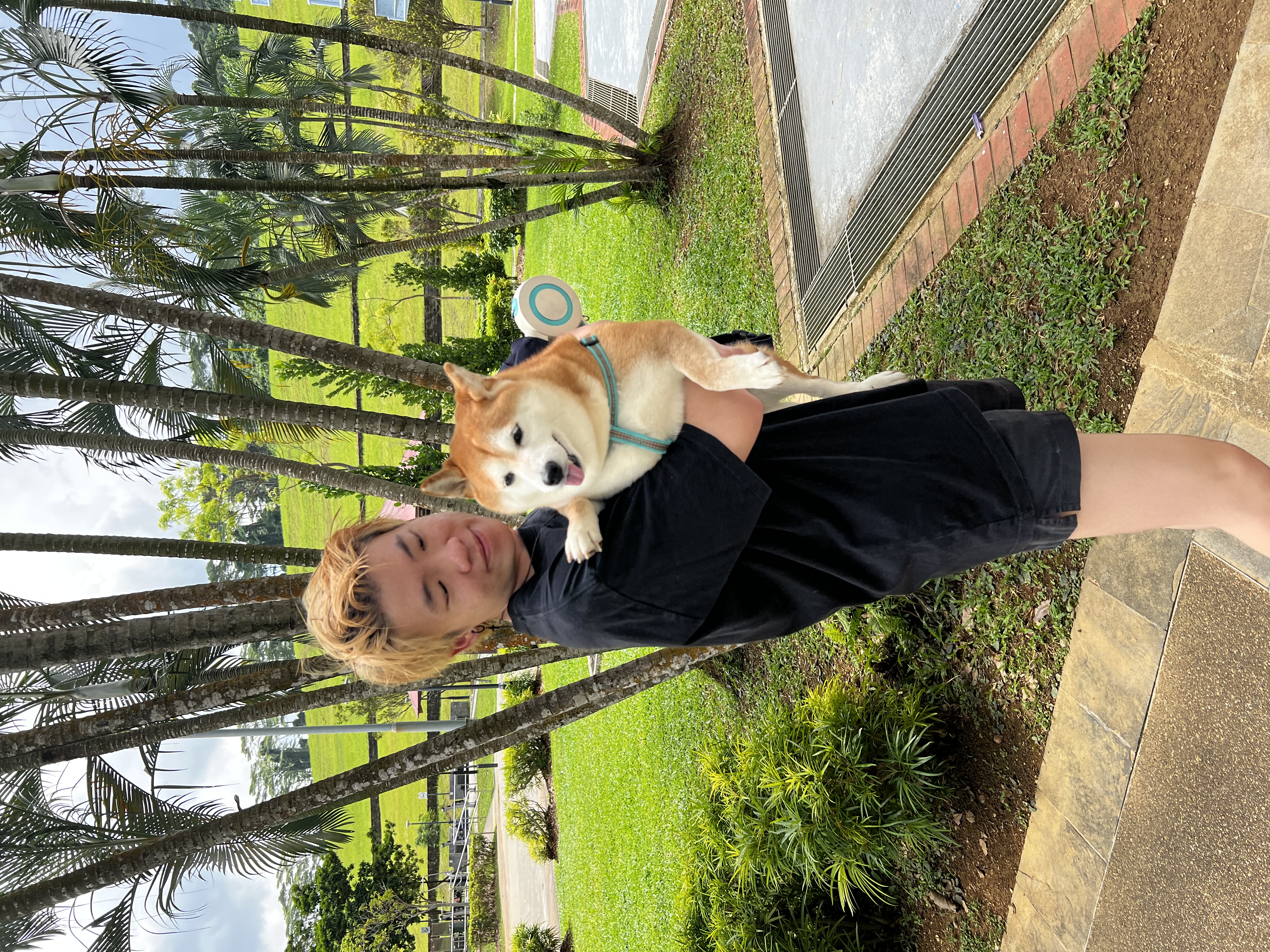 image-7