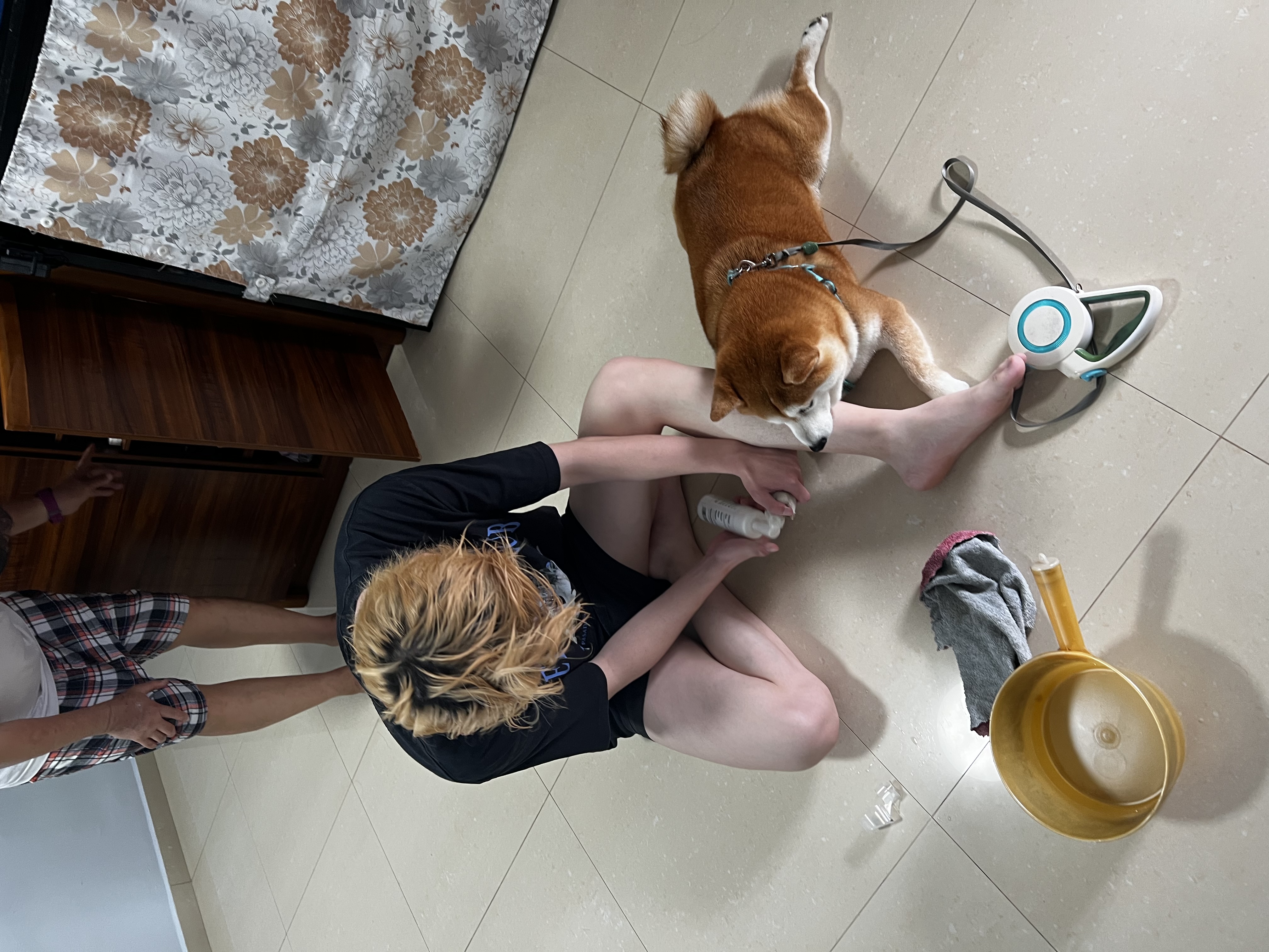 image-6