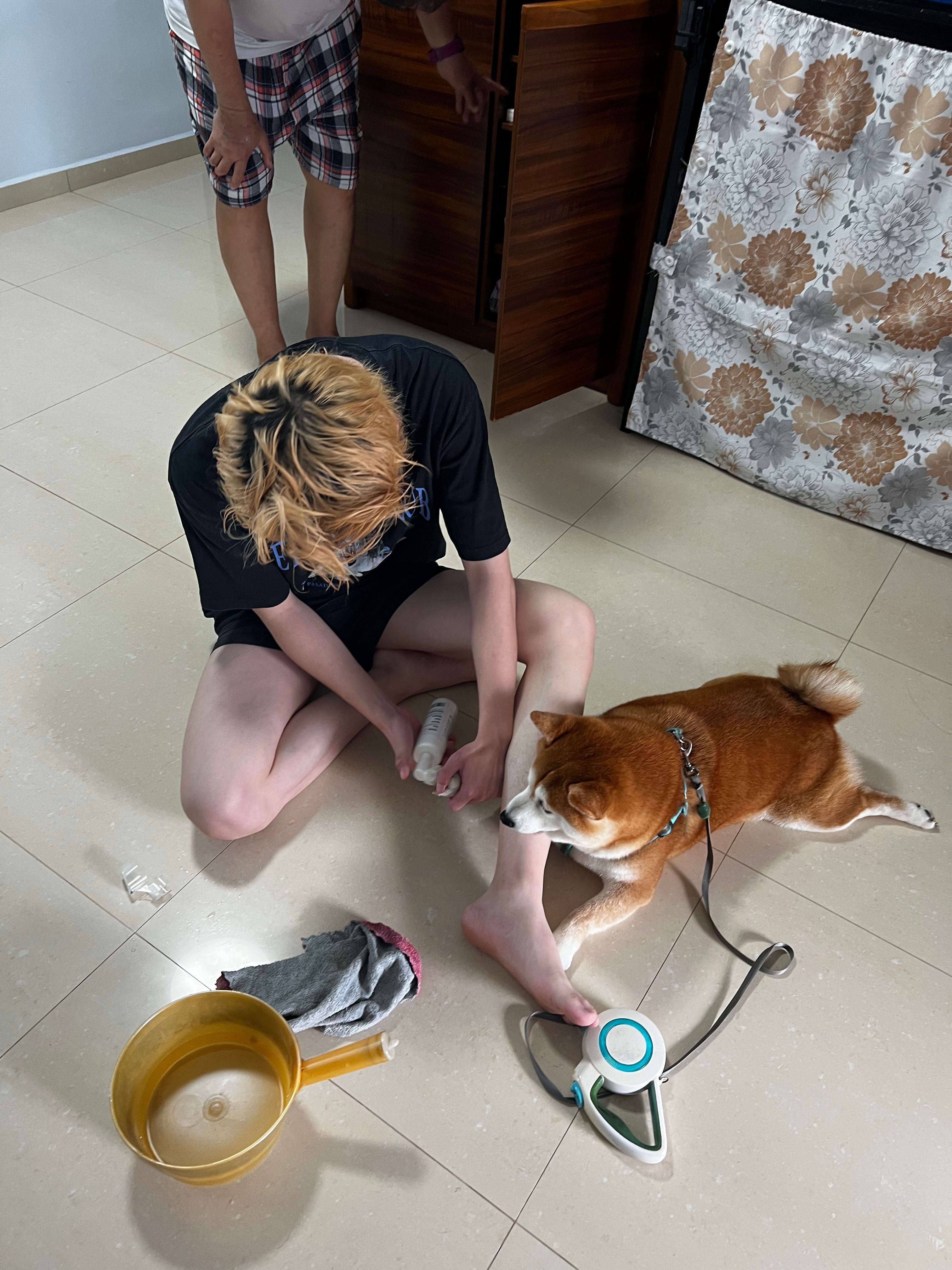 image-6