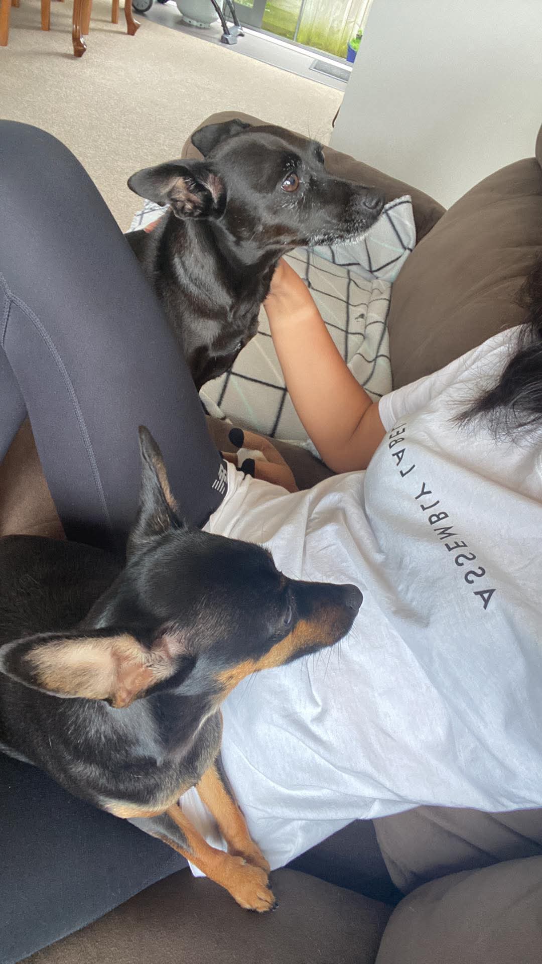image-9