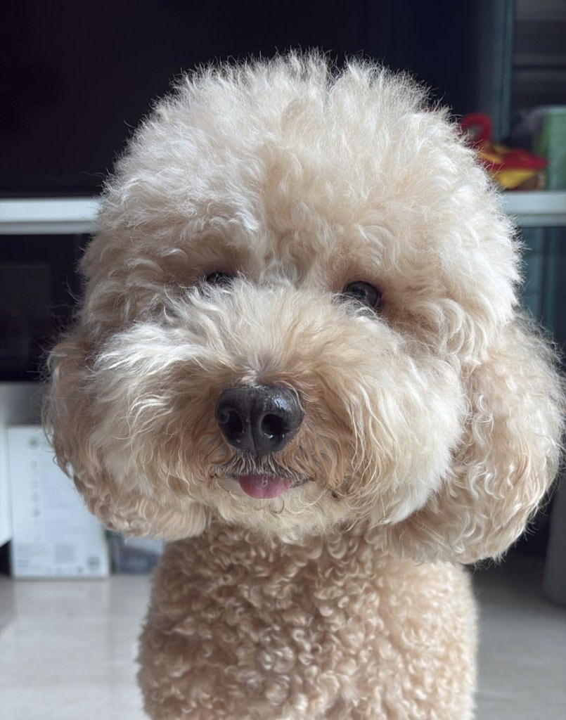 Nuki