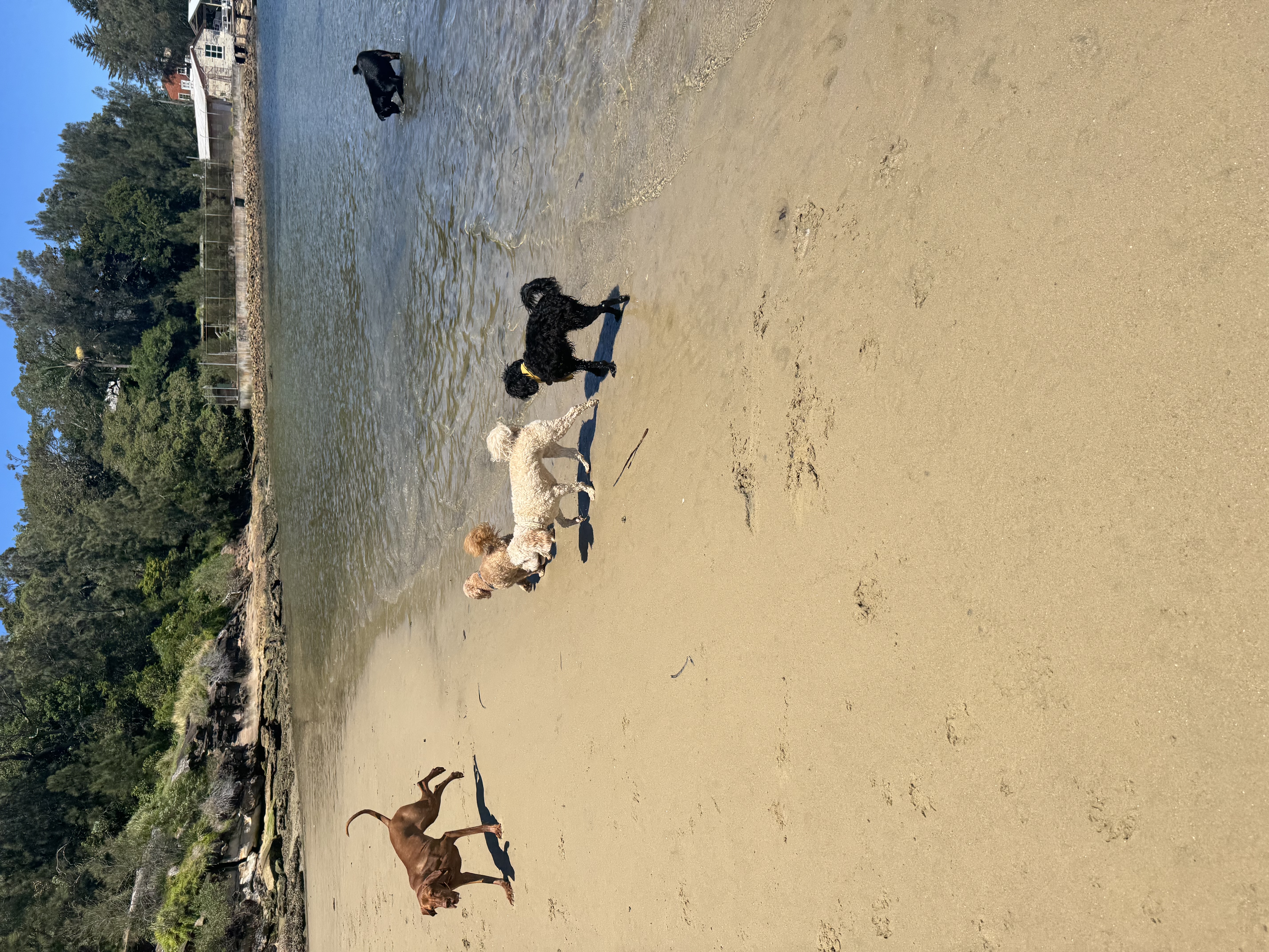 image-7