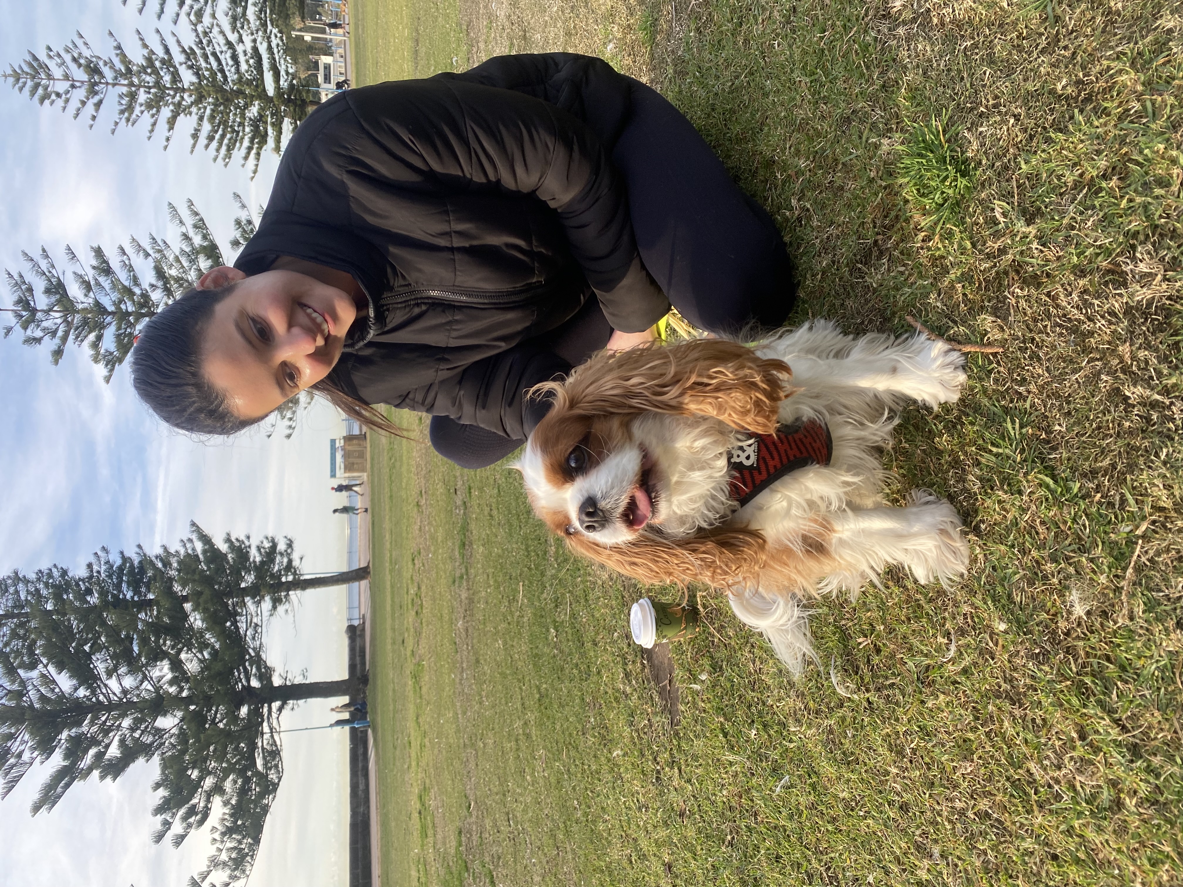 image-7
