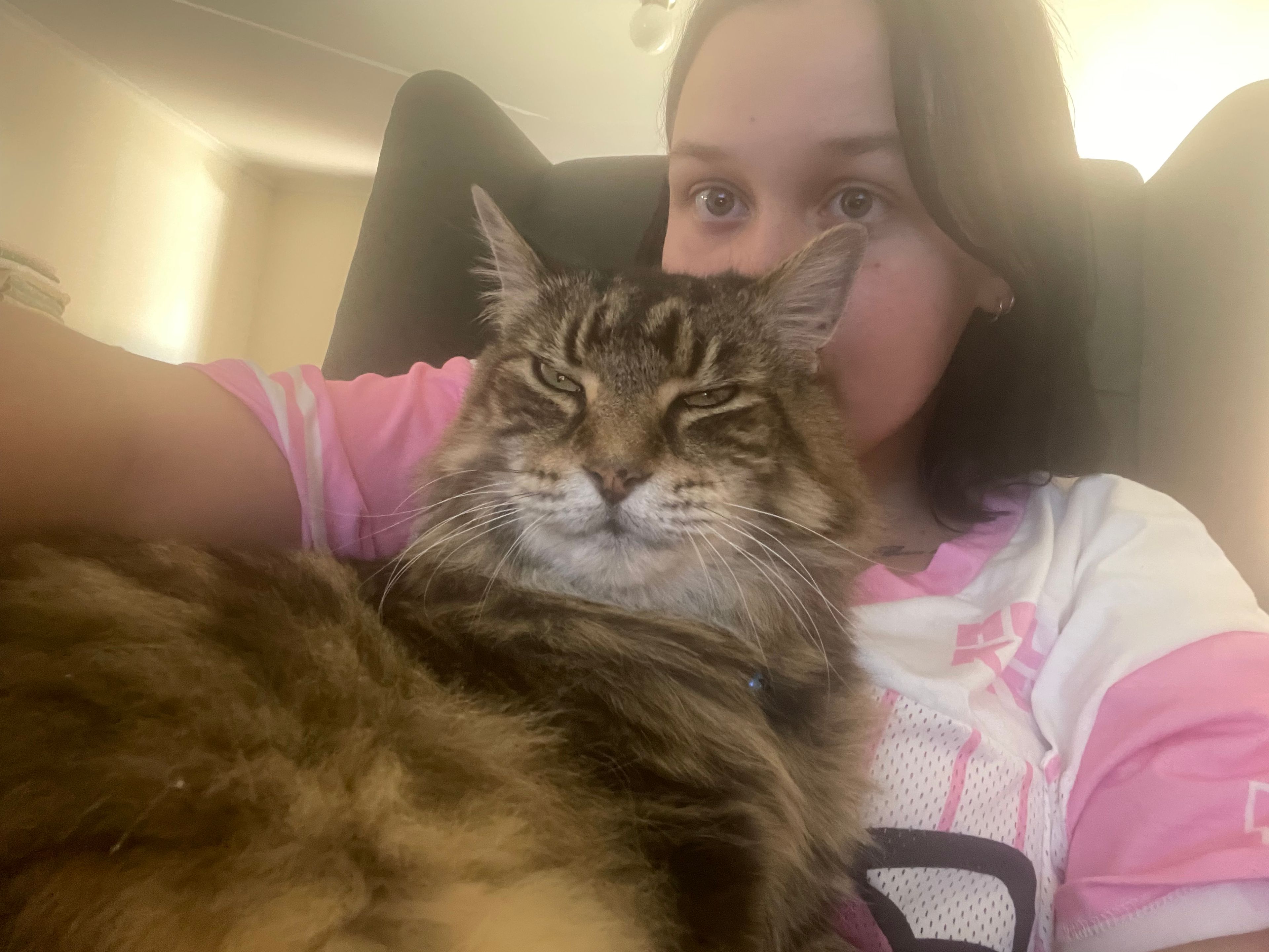 image-6