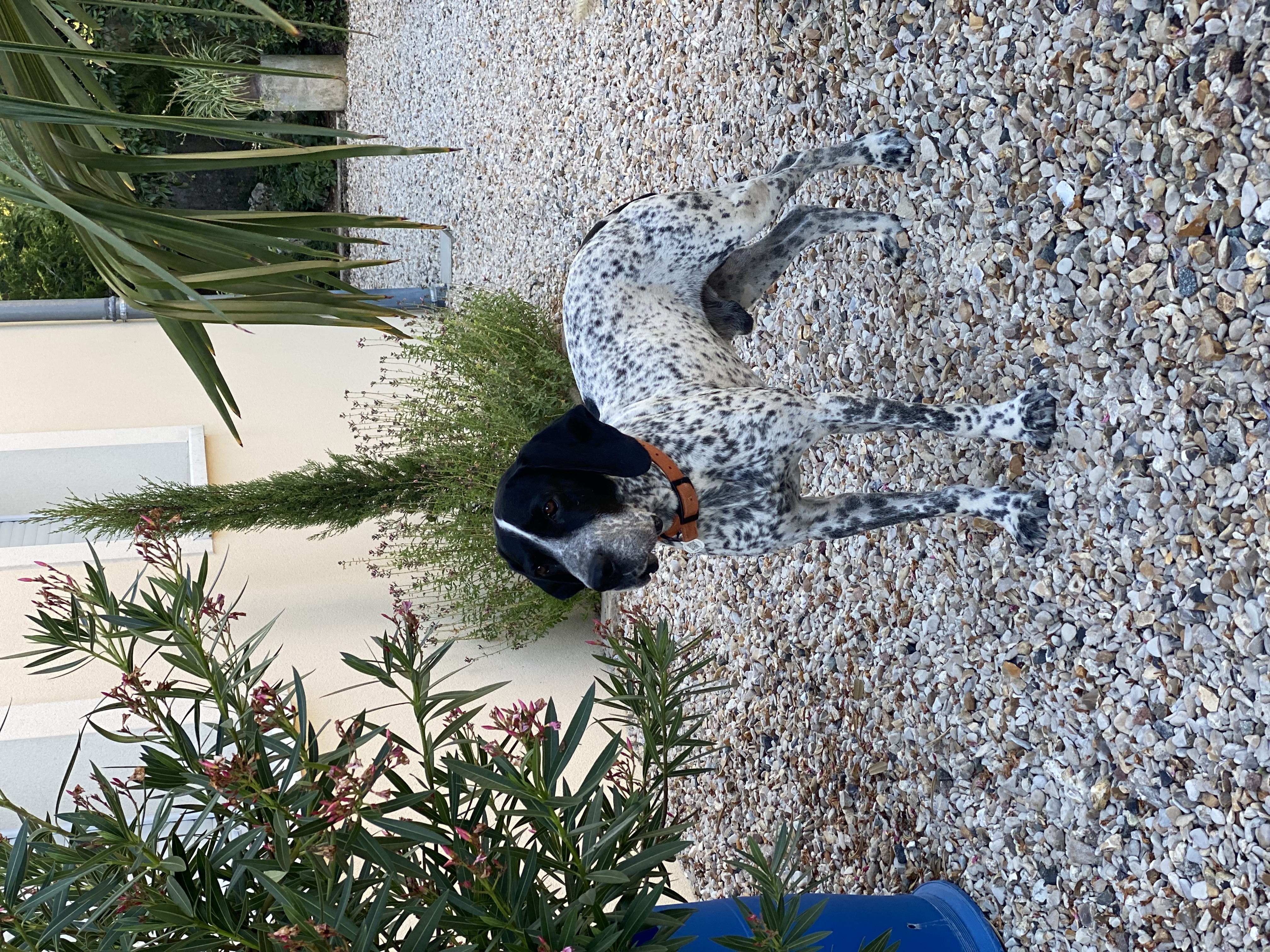 image-7