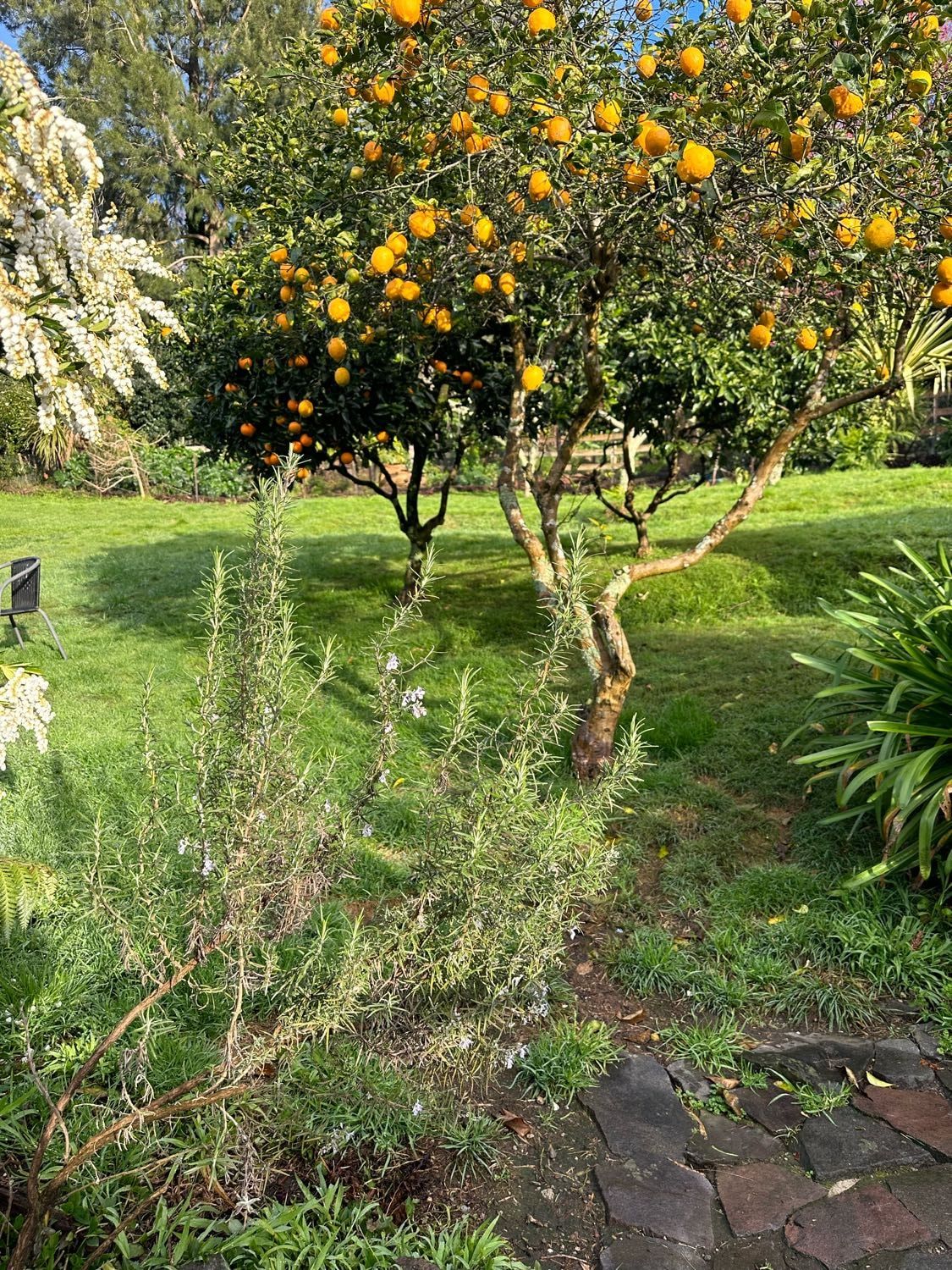image-5