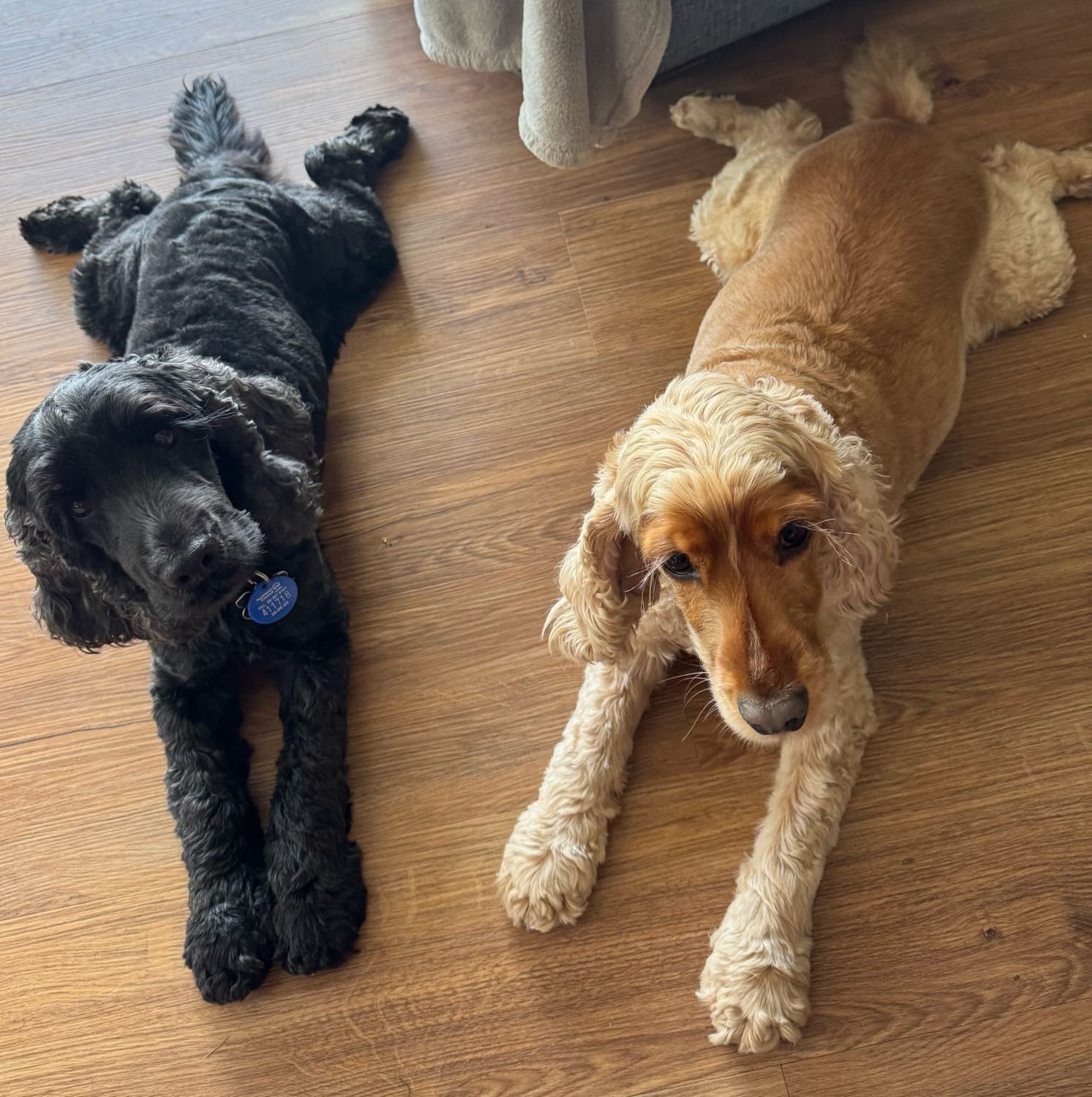 image-16
