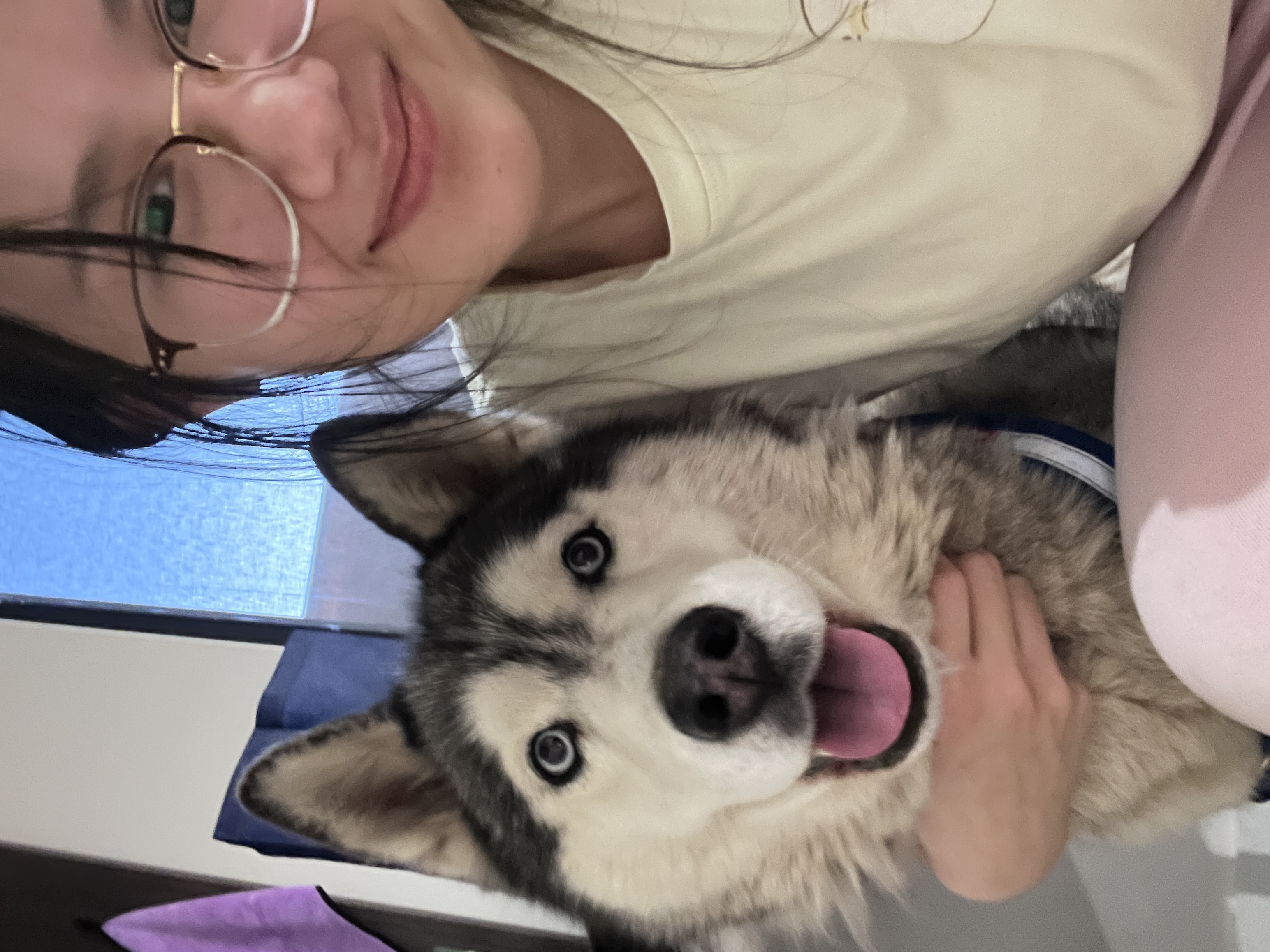 image-6