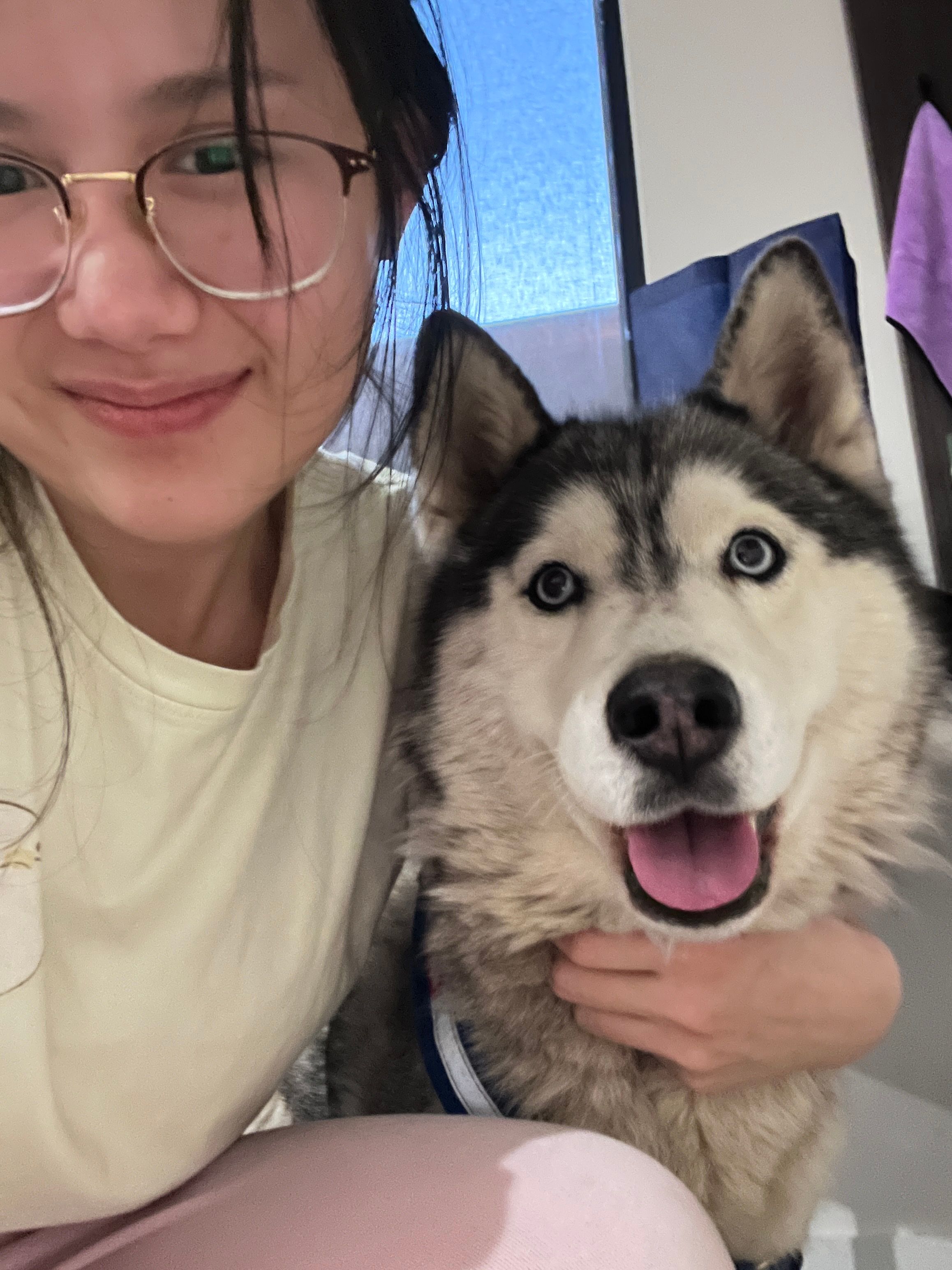 image-6