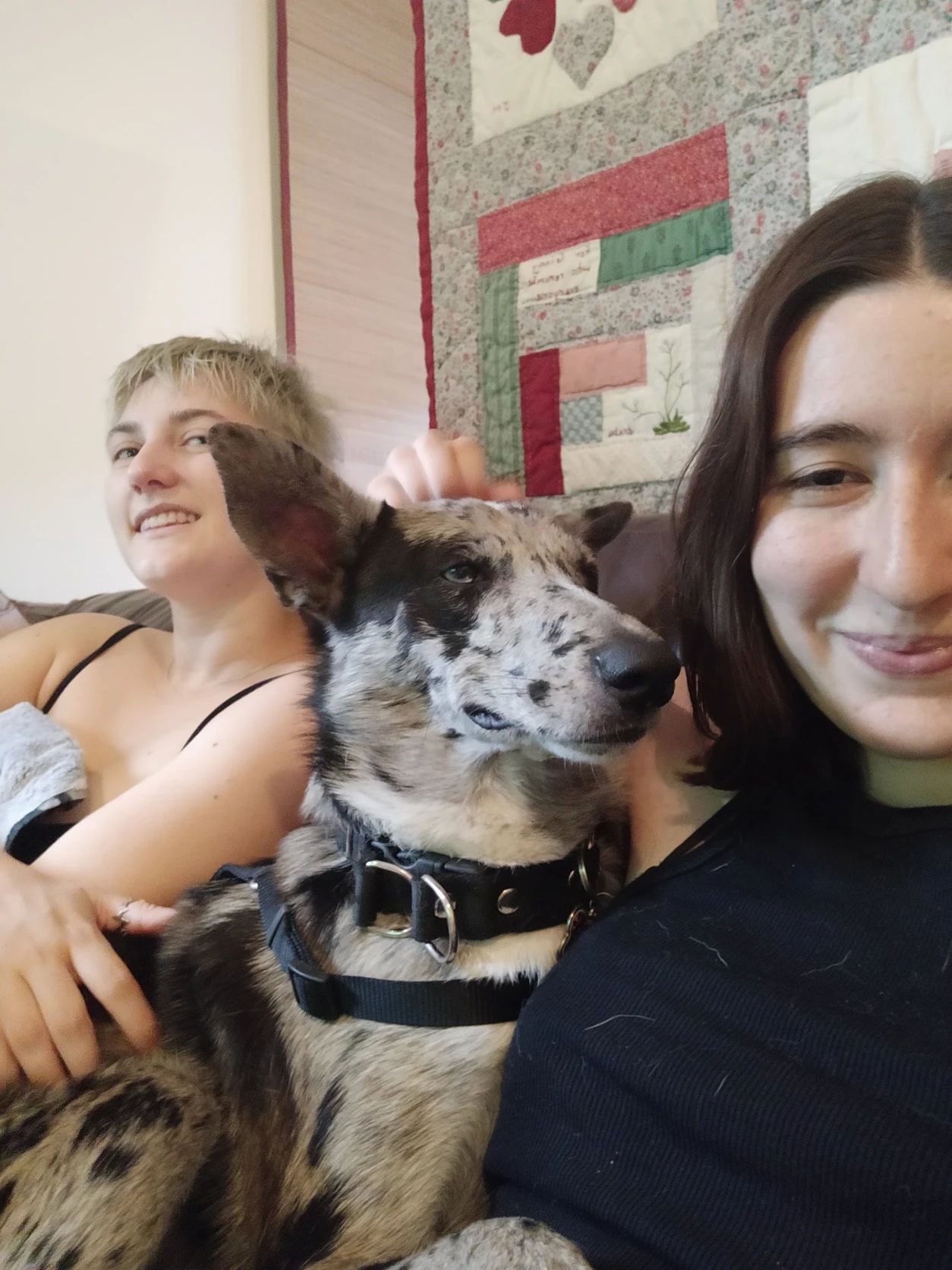 image-12