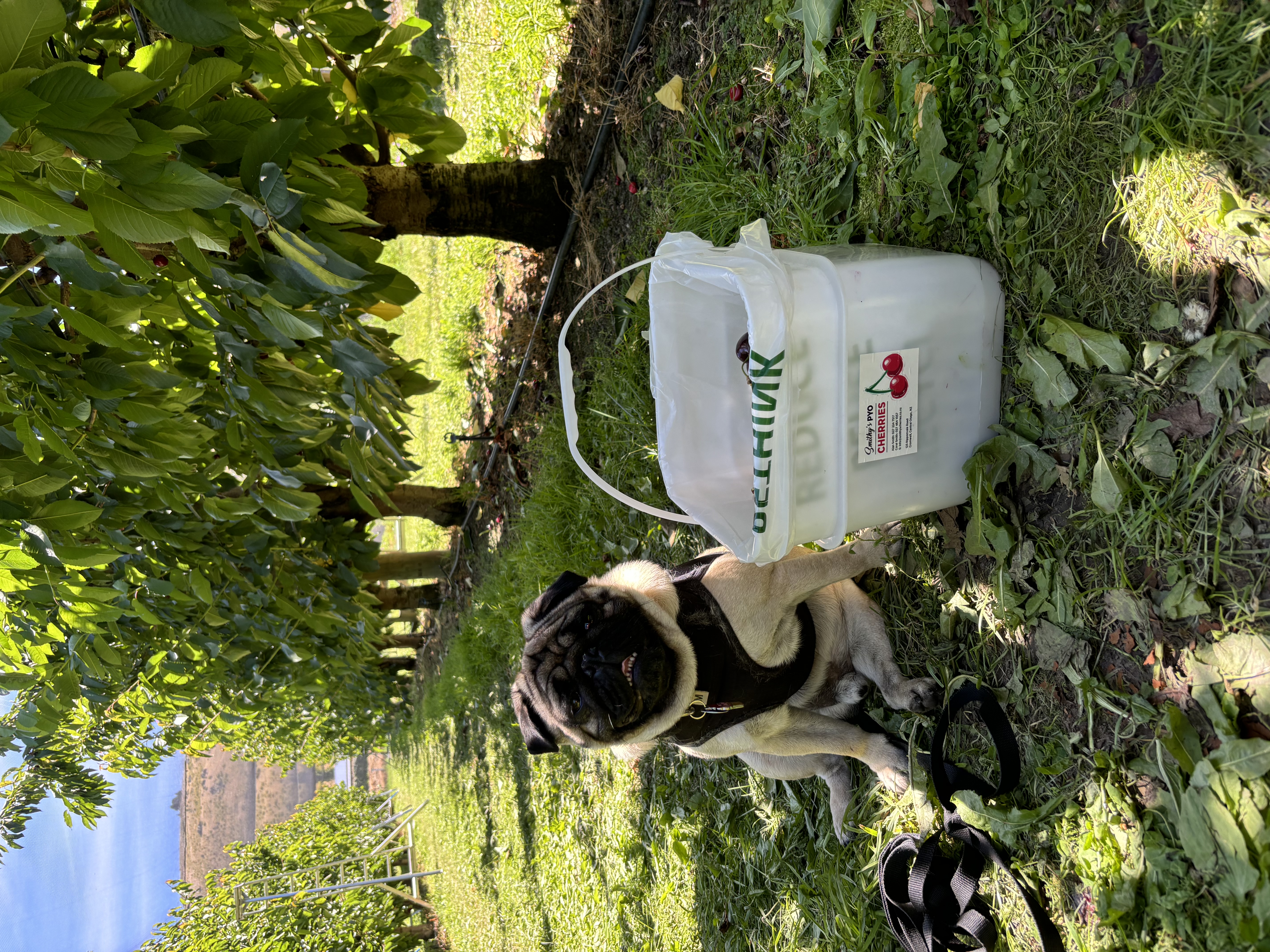 image-6