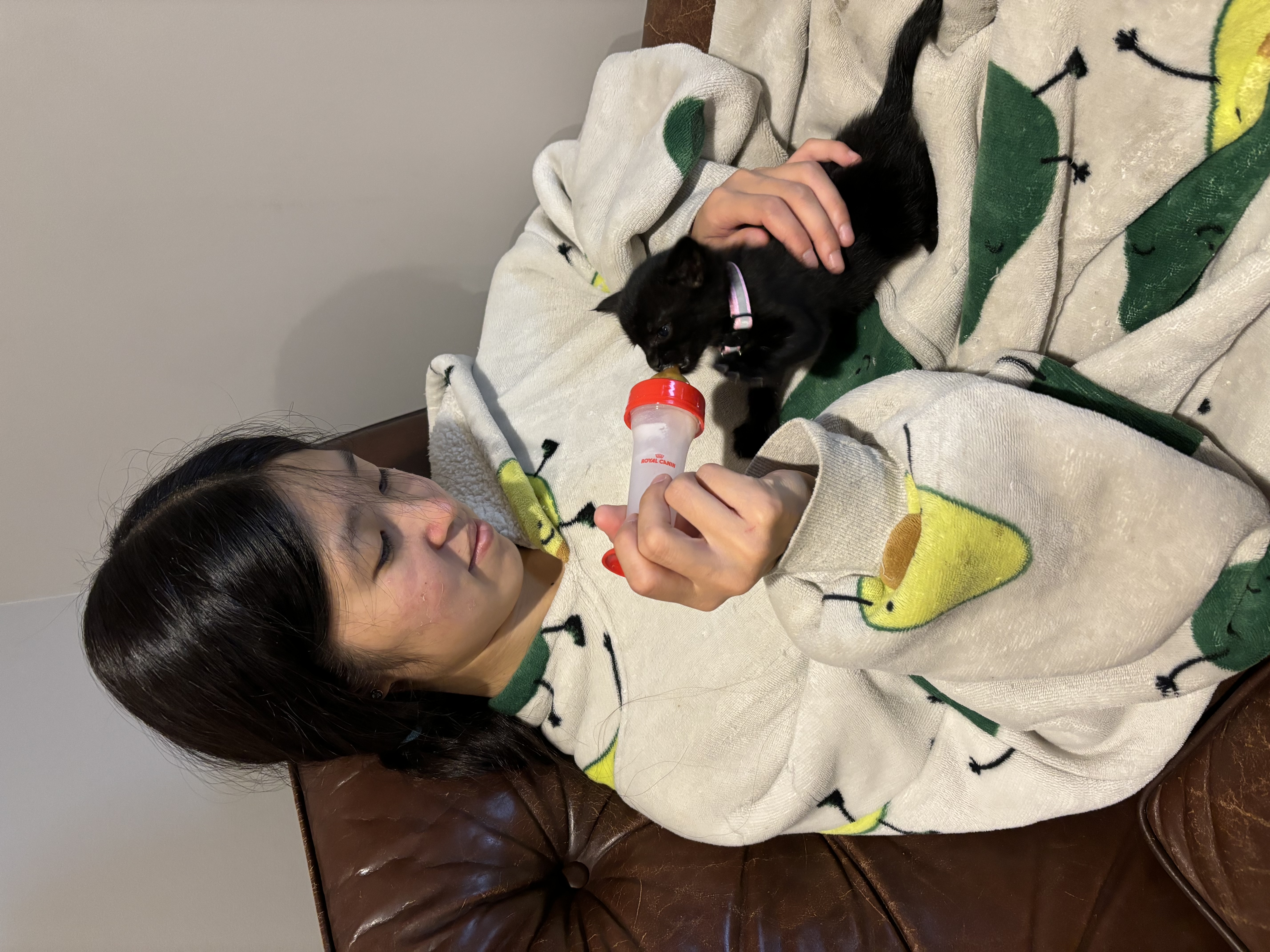image-10
