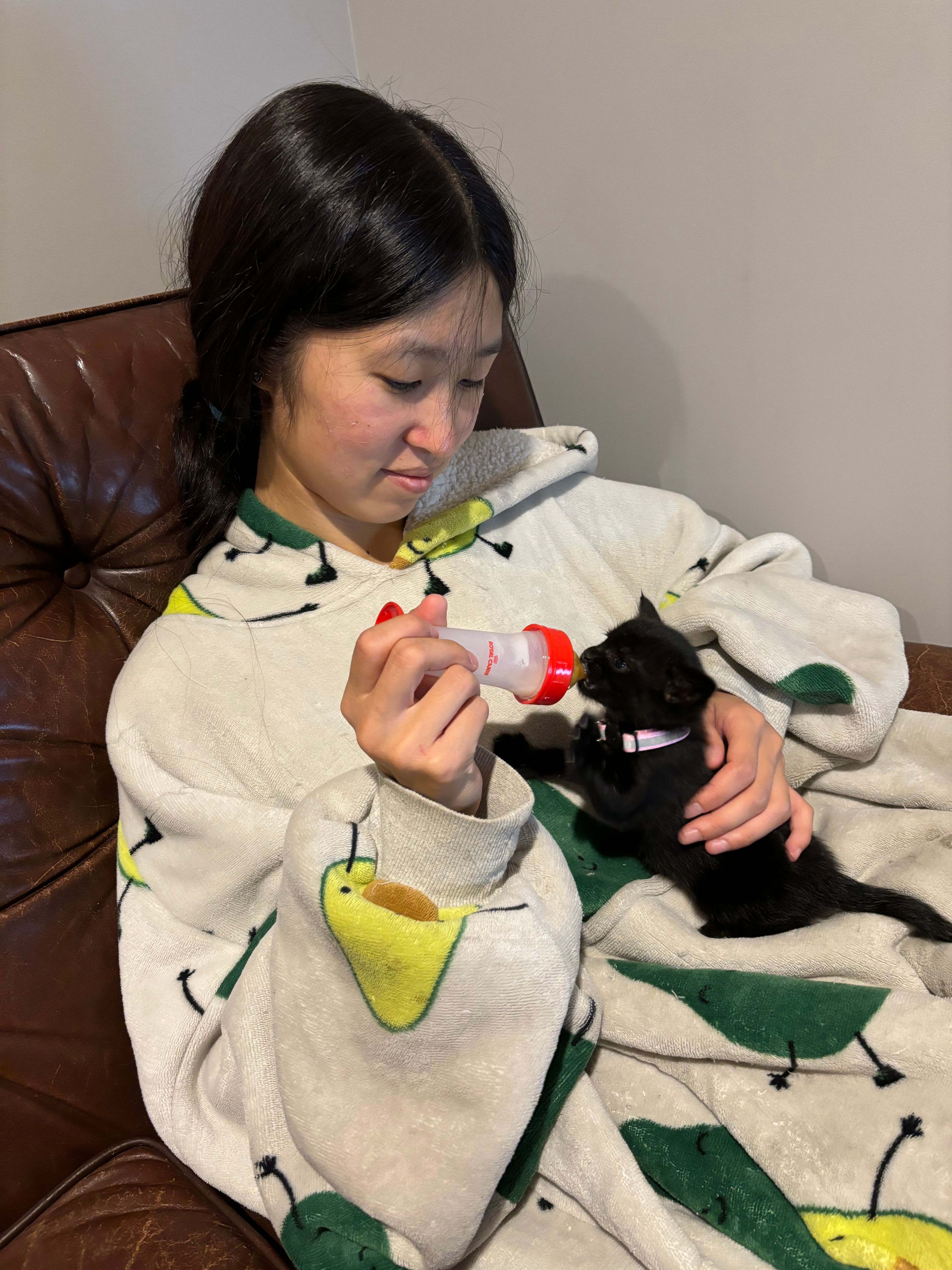 image-10