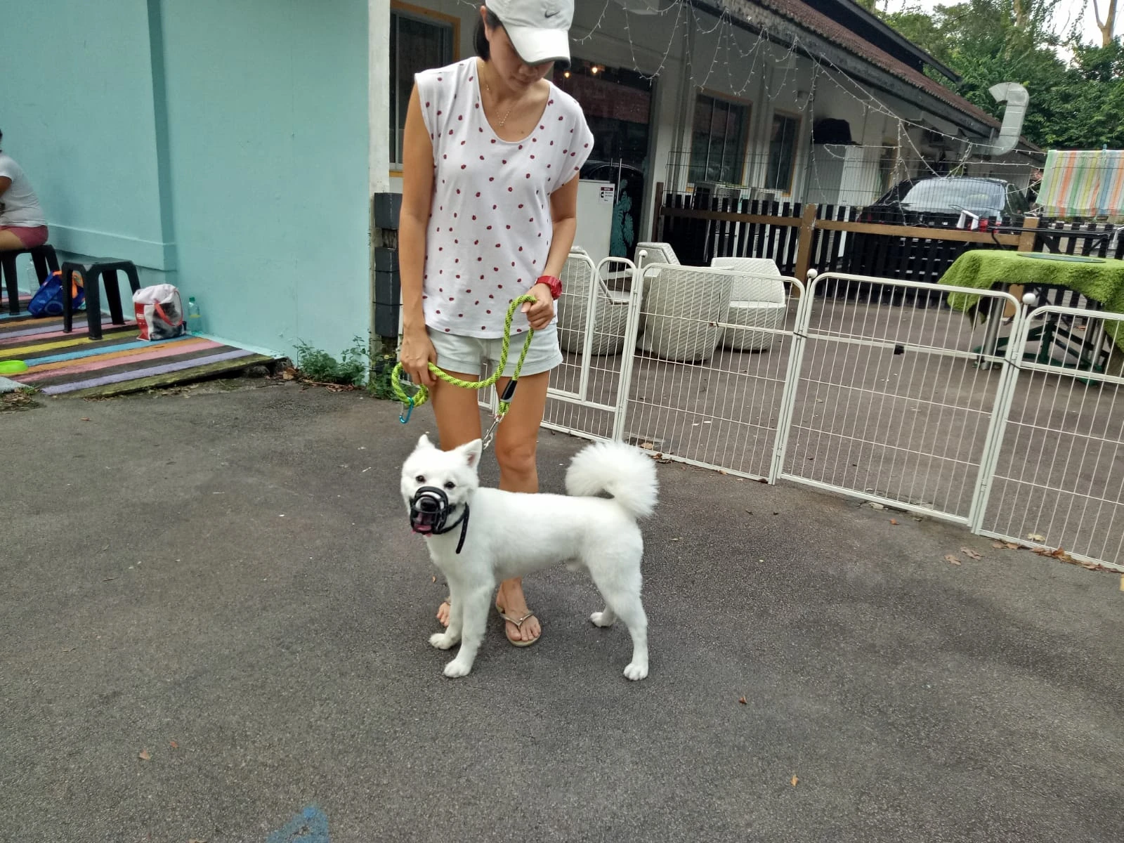 image-3