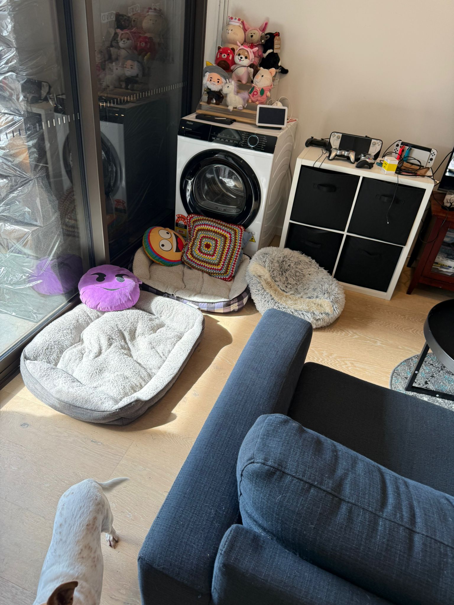 image-16