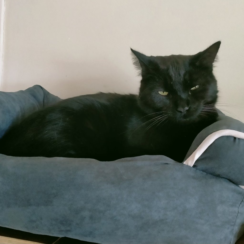 T'challa