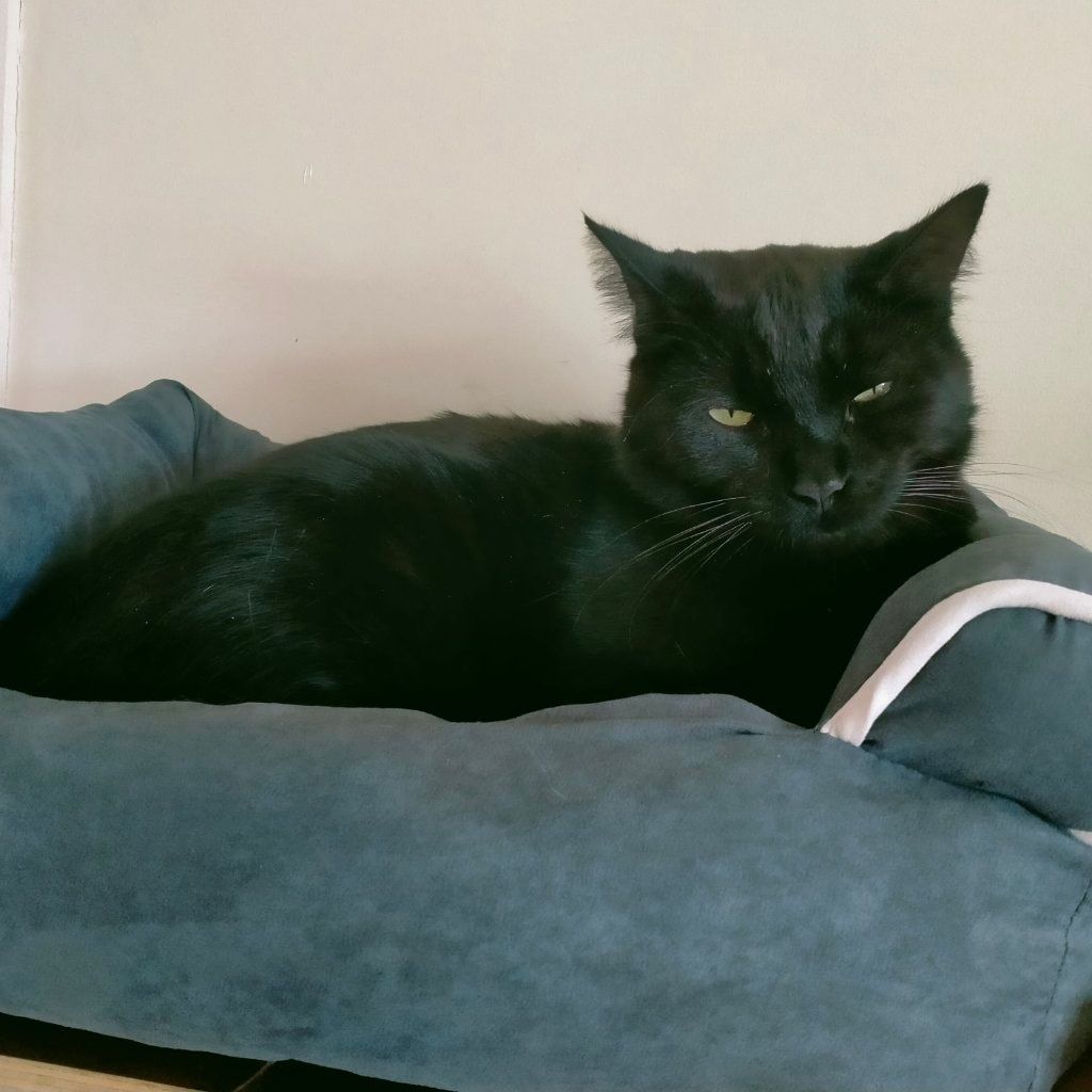 T'challa