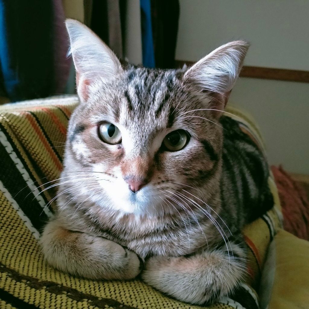 Charlie