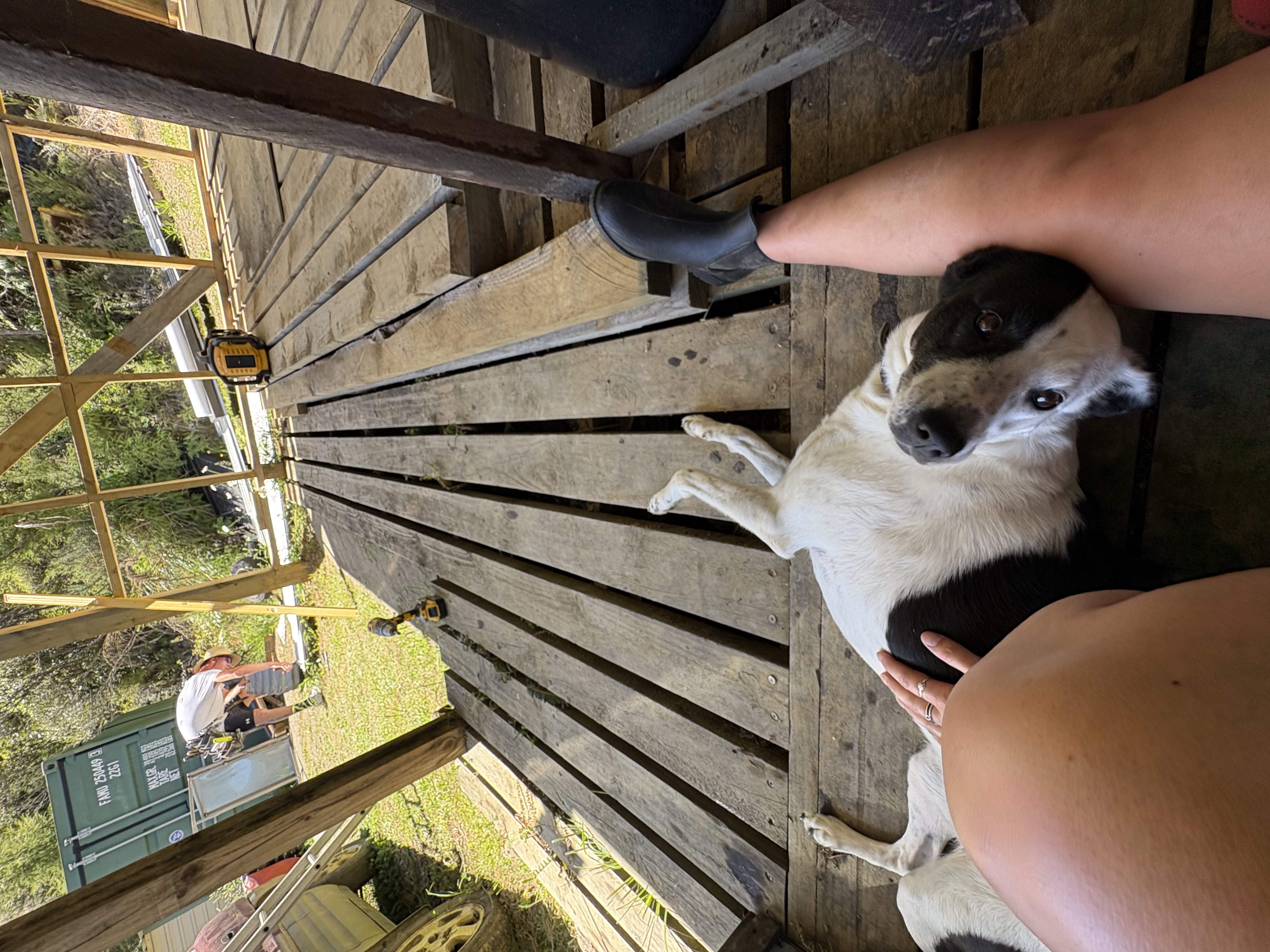 image-10