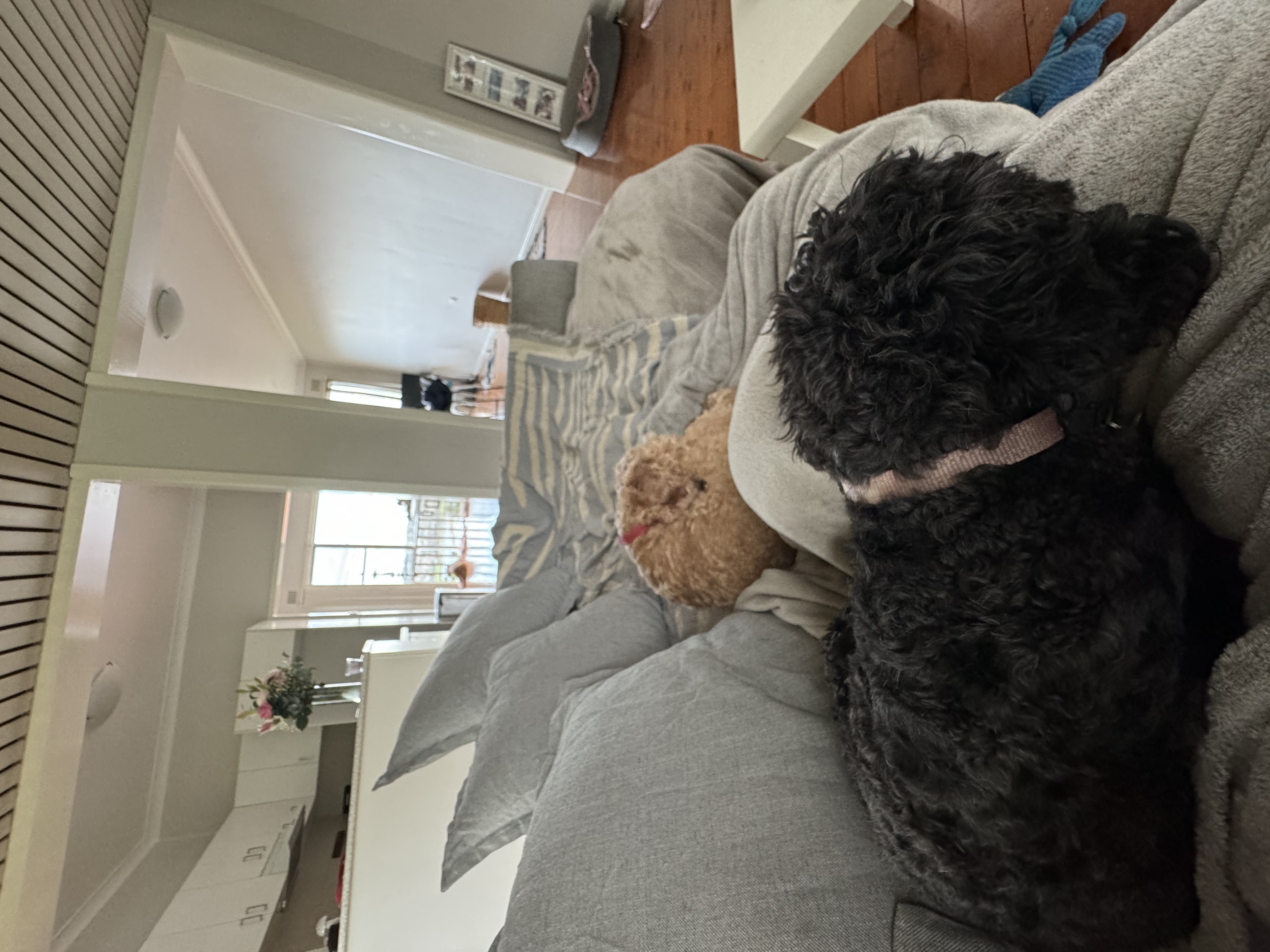 image-14