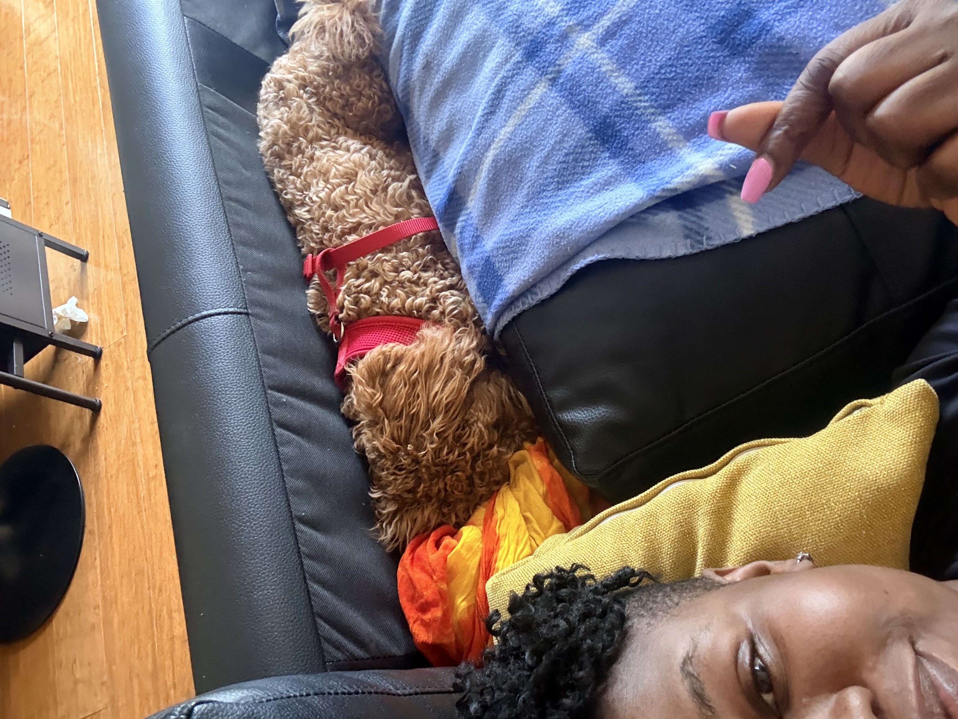 image-6