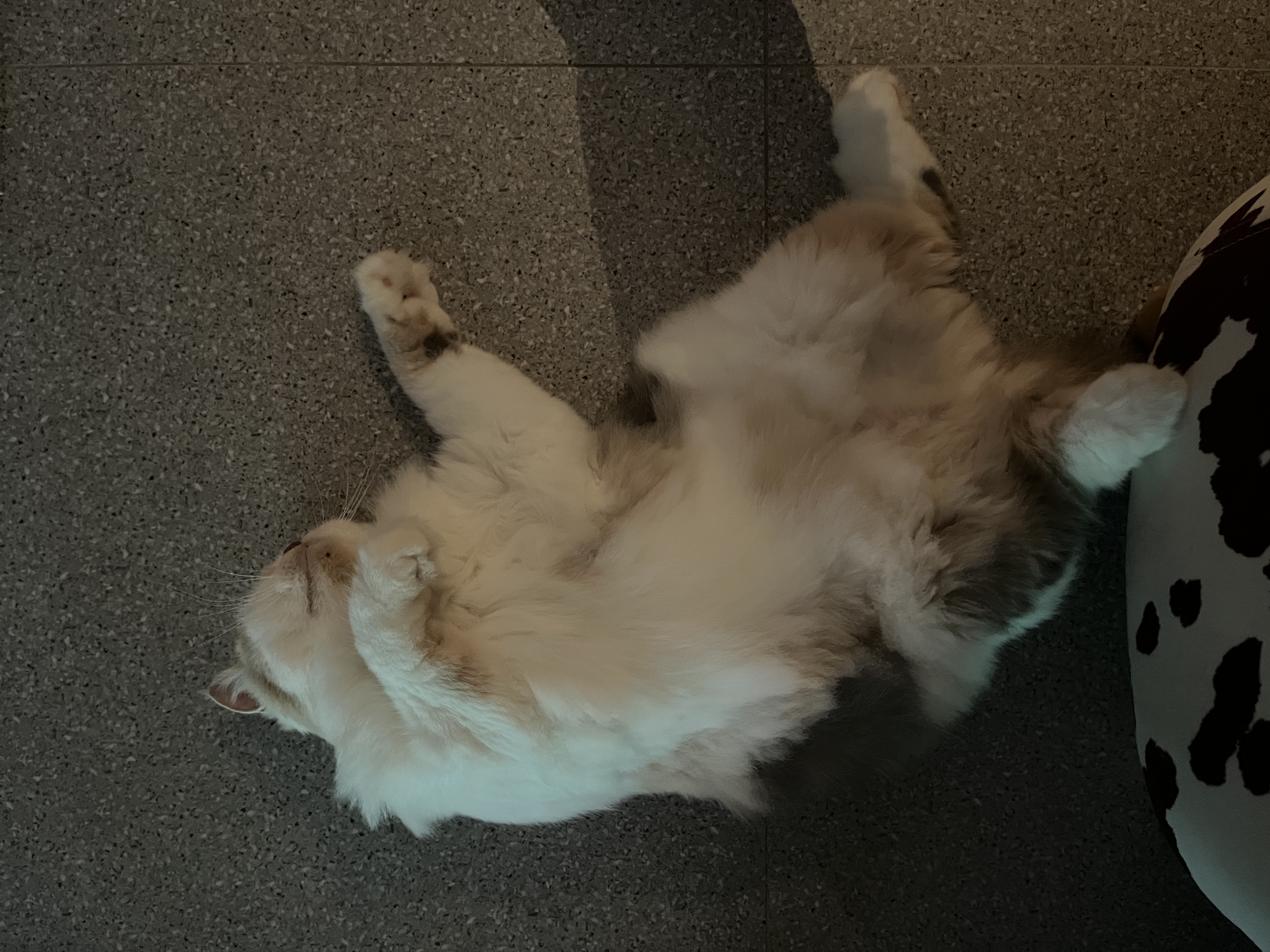 image-15