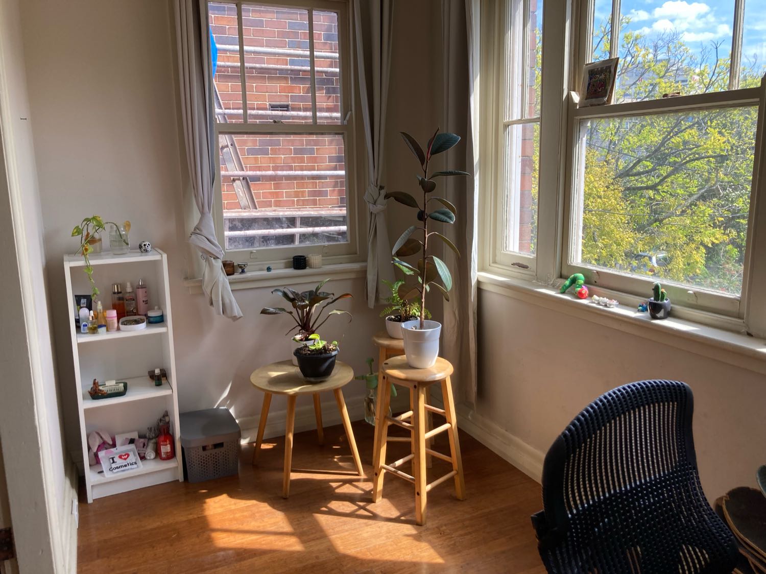 image-14
